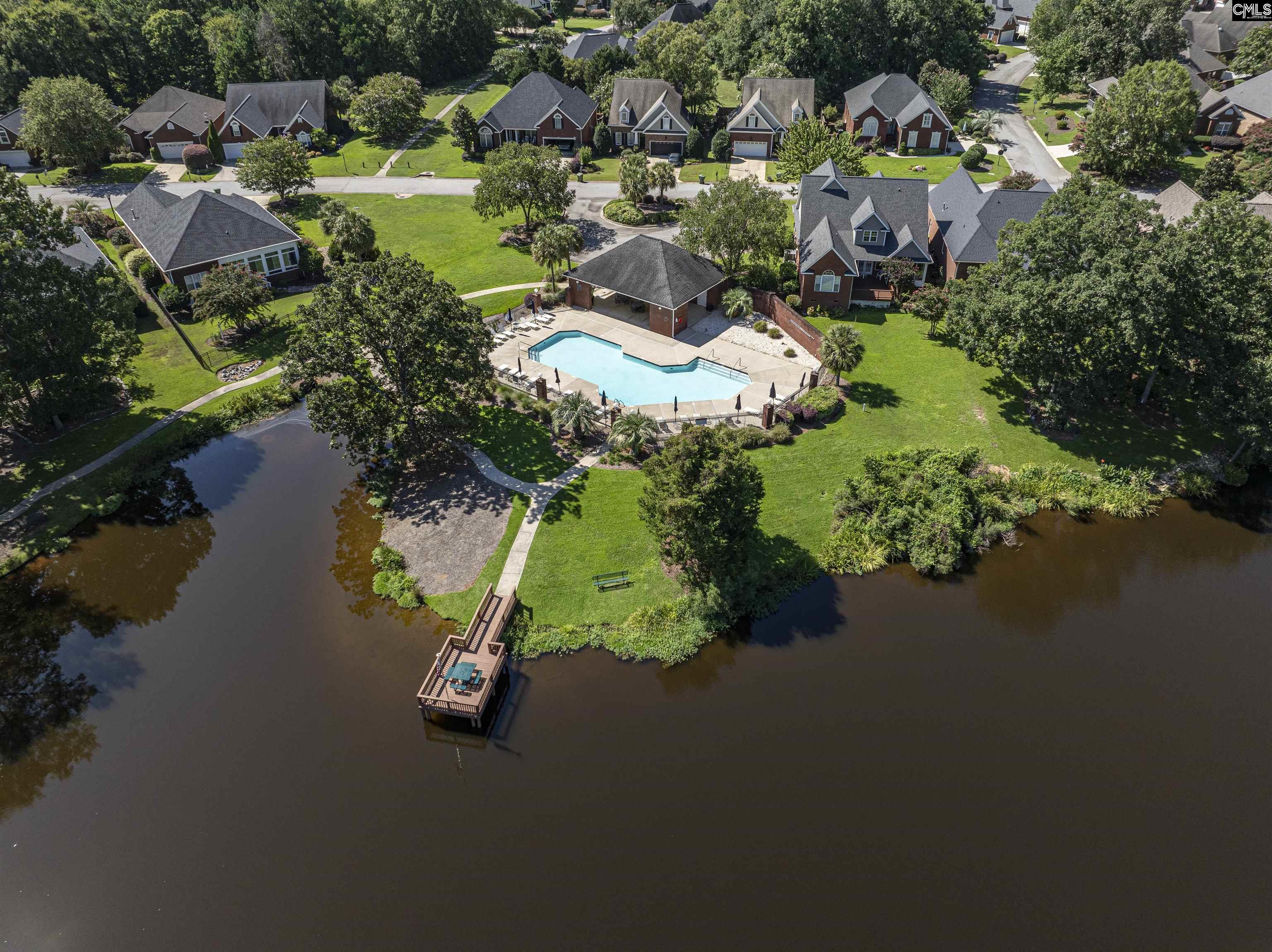 275 Hilton Village, Chapin, South Carolina image 49