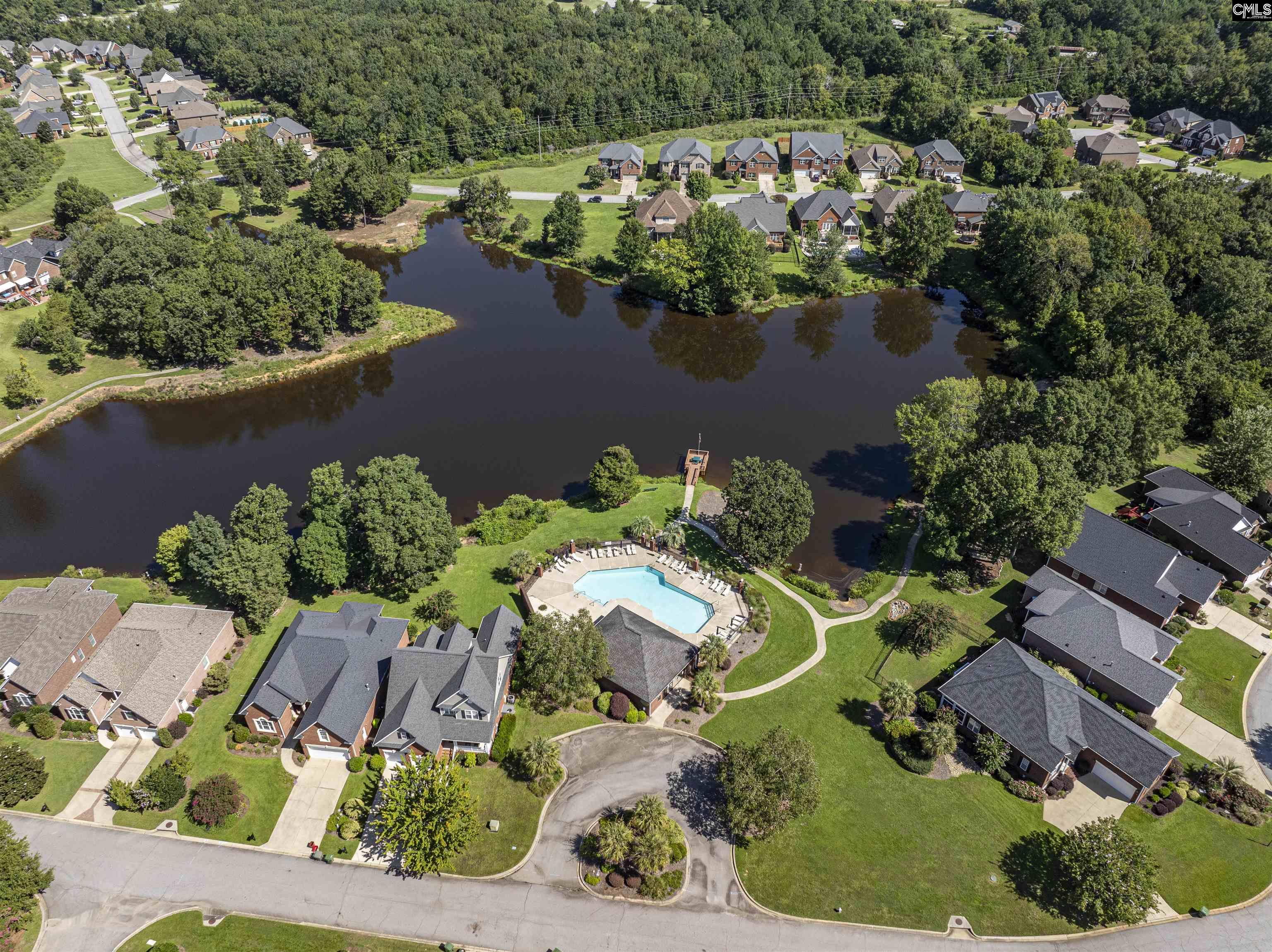 275 Hilton Village, Chapin, South Carolina image 50