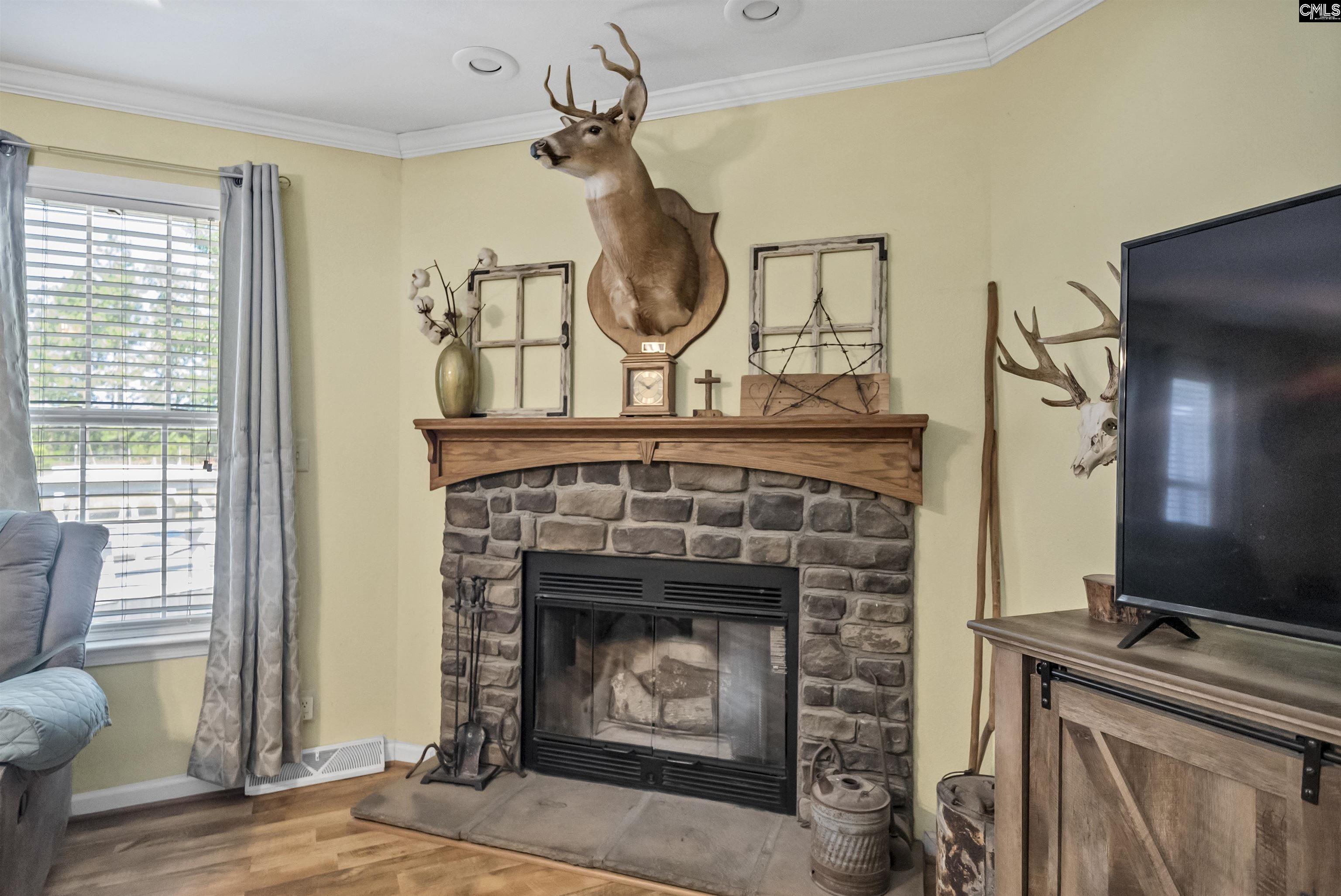 580 Nathan Miller Road, Gilbert, South Carolina image 14