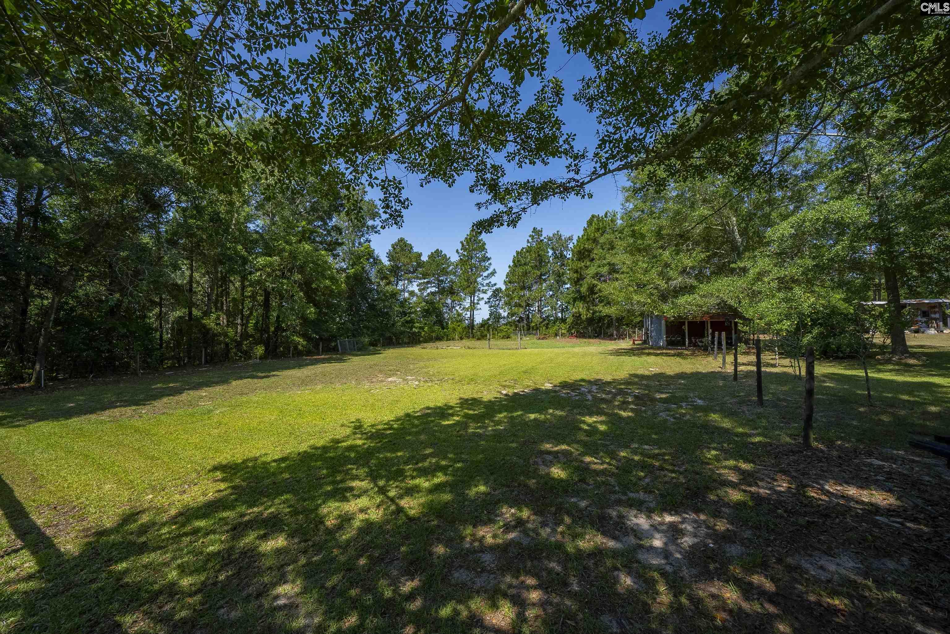 580 Nathan Miller Road, Gilbert, South Carolina image 43