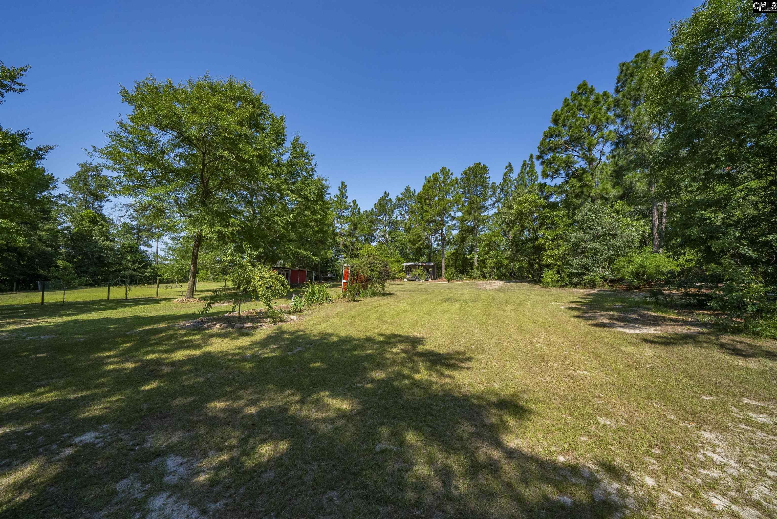 580 Nathan Miller Road, Gilbert, South Carolina image 44