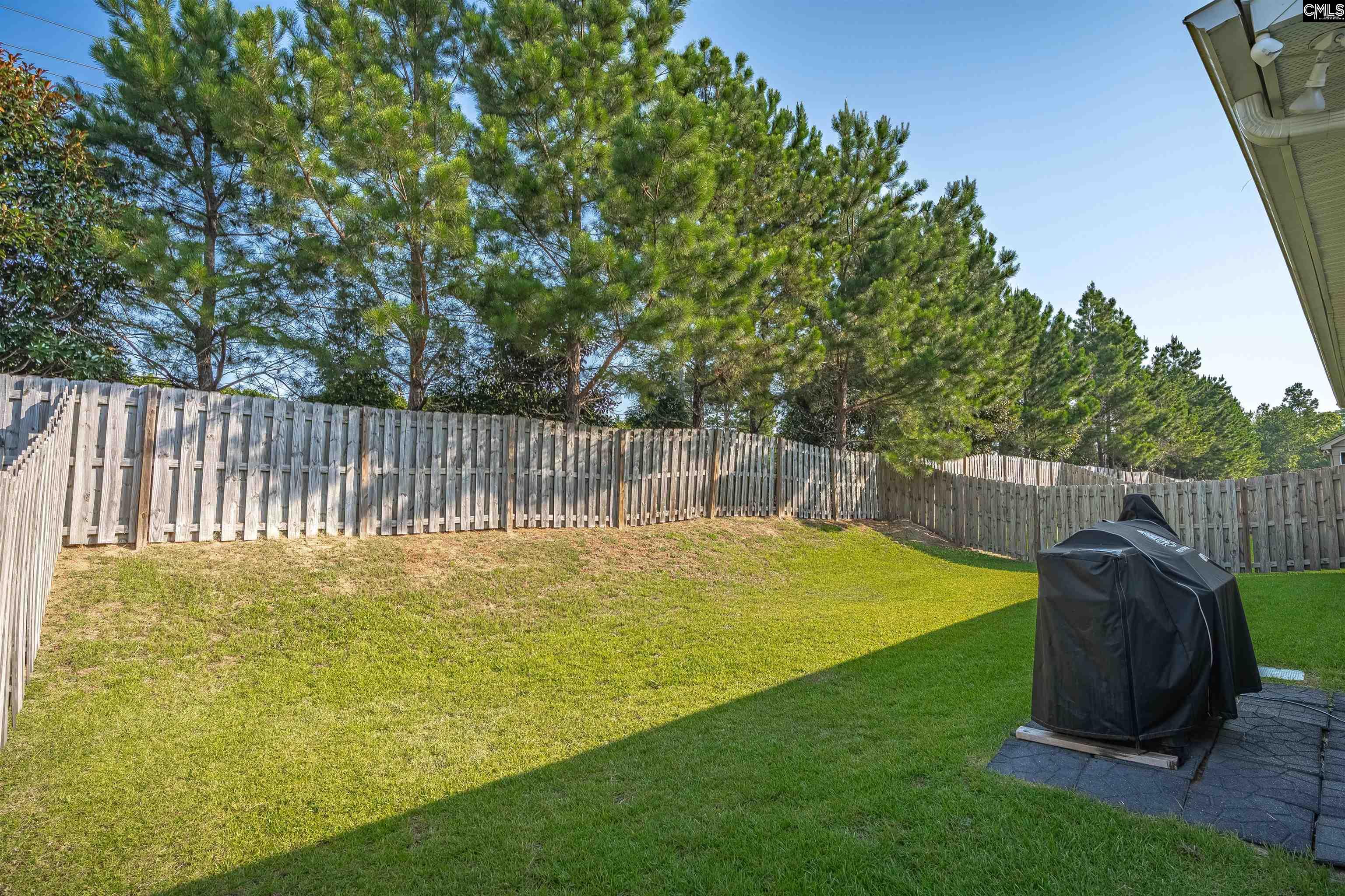 719 Long Iron Lane, Blythewood, South Carolina image 42