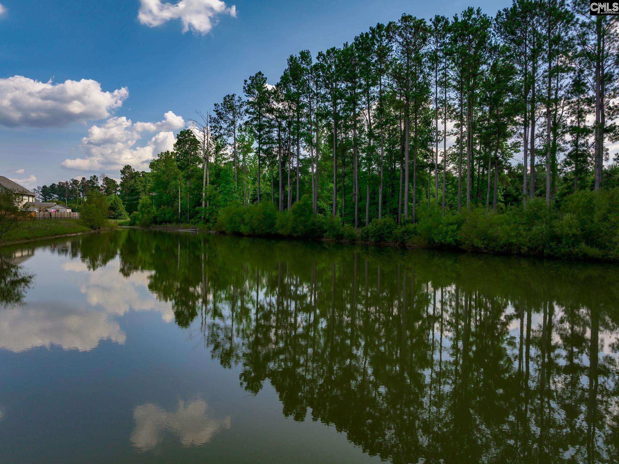 3870 Moseley Drive, Sumter, South Carolina image 36