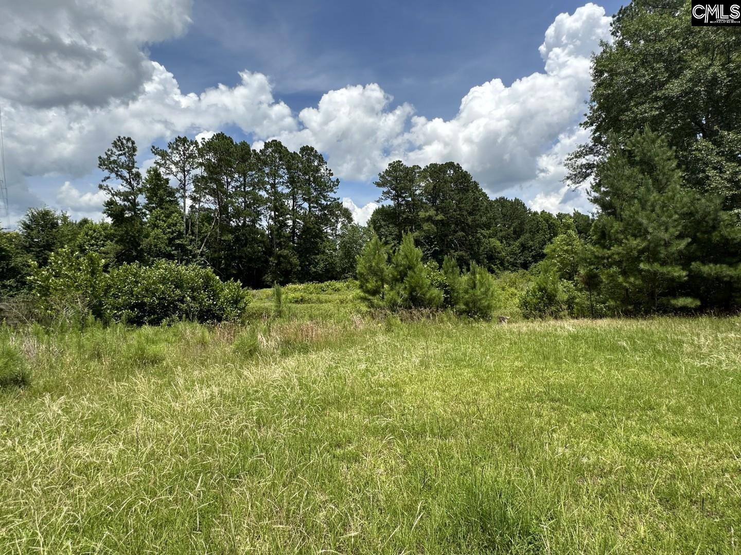 2601 Myrtle Street, Newberry, South Carolina image 13
