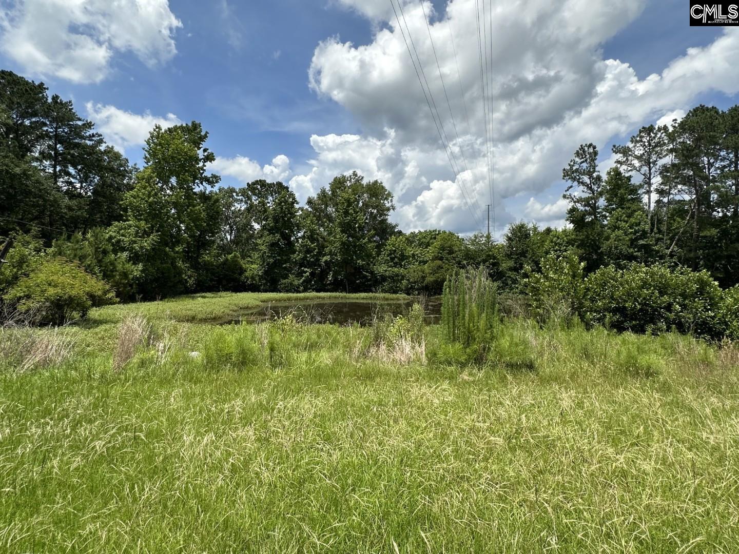 2601 Myrtle Street, Newberry, South Carolina image 4