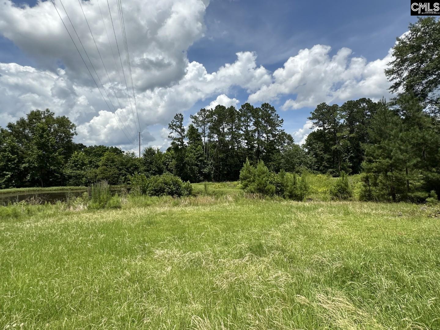 2601 Myrtle Street, Newberry, South Carolina image 5