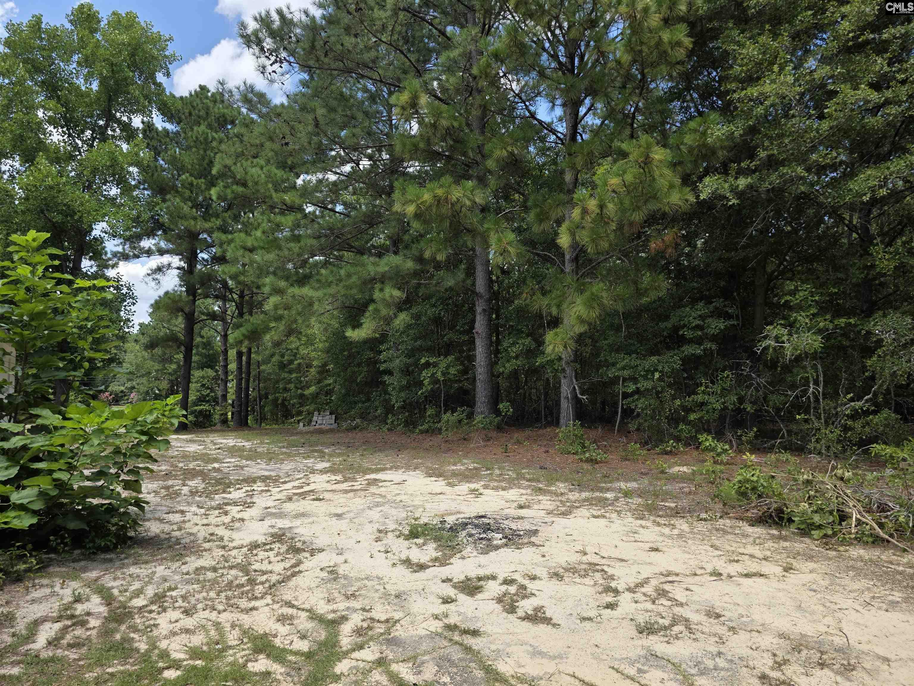 1355 Wildwood Lane Elgin, SC 29045