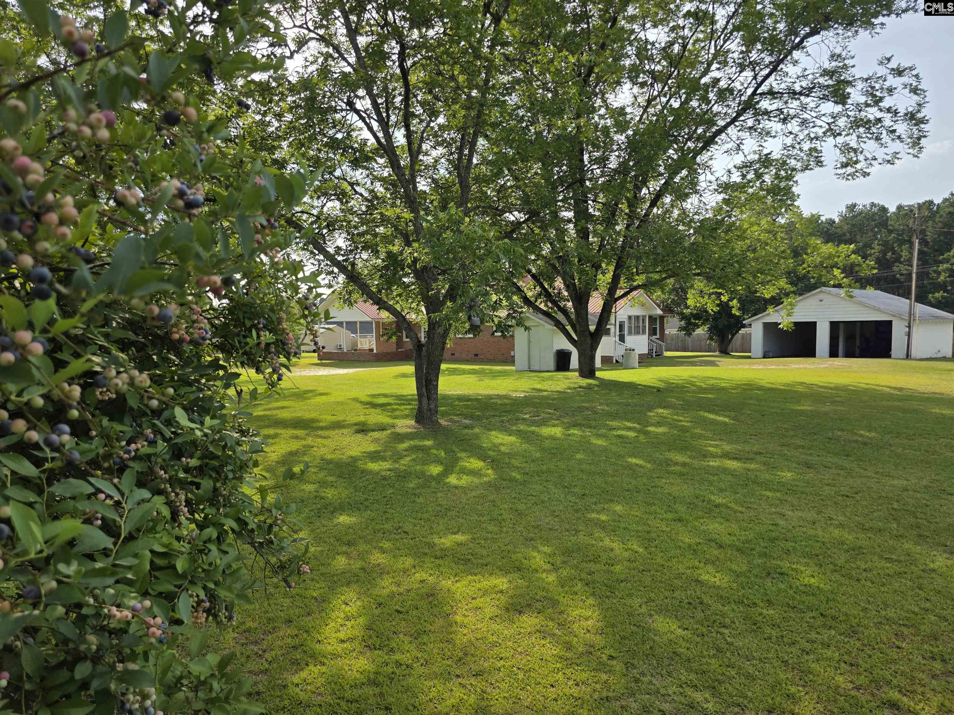 1355 Wildwood Lane, Elgin, South Carolina image 37