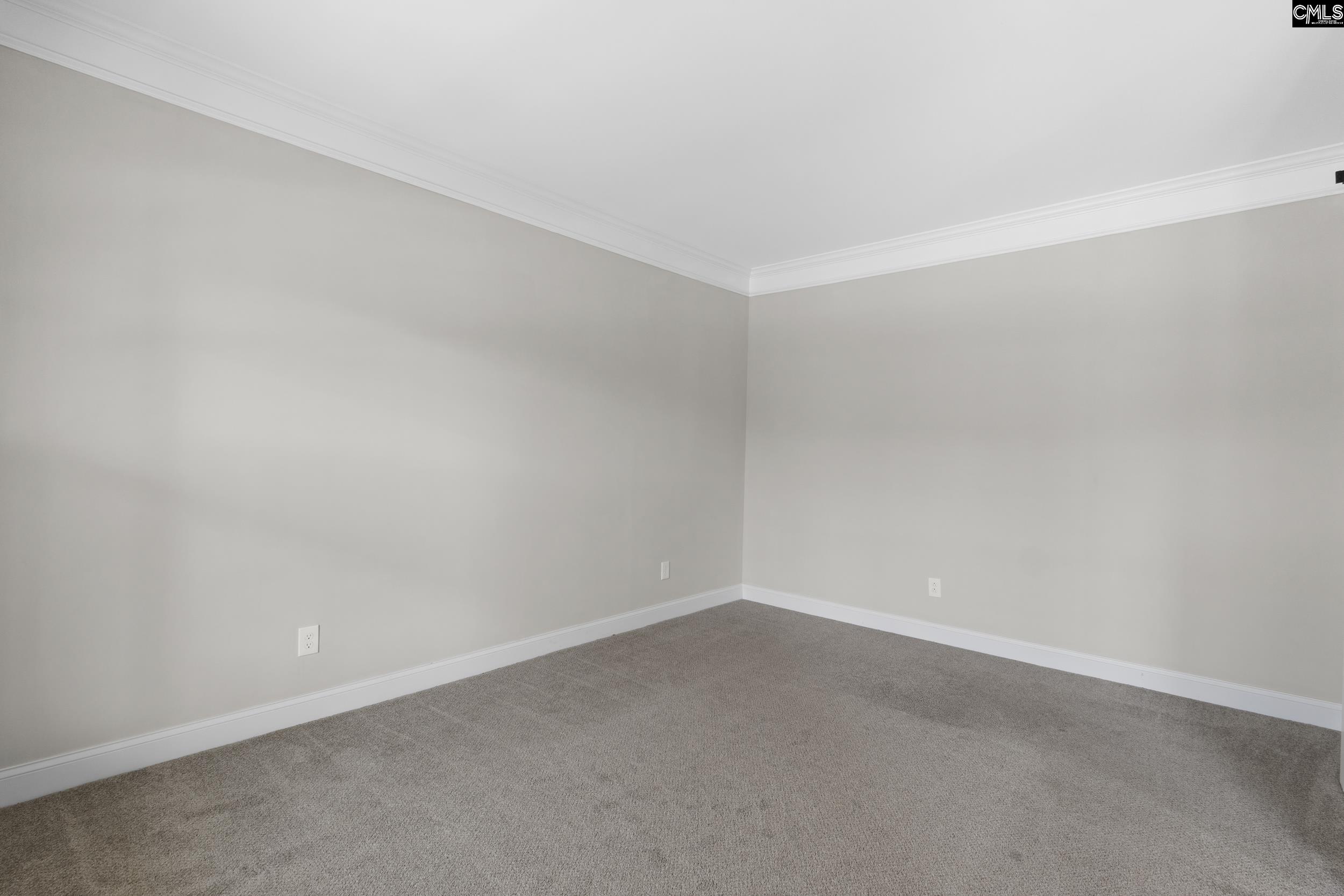 331 Autumn Estates Drive, Blythewood, South Carolina image 8