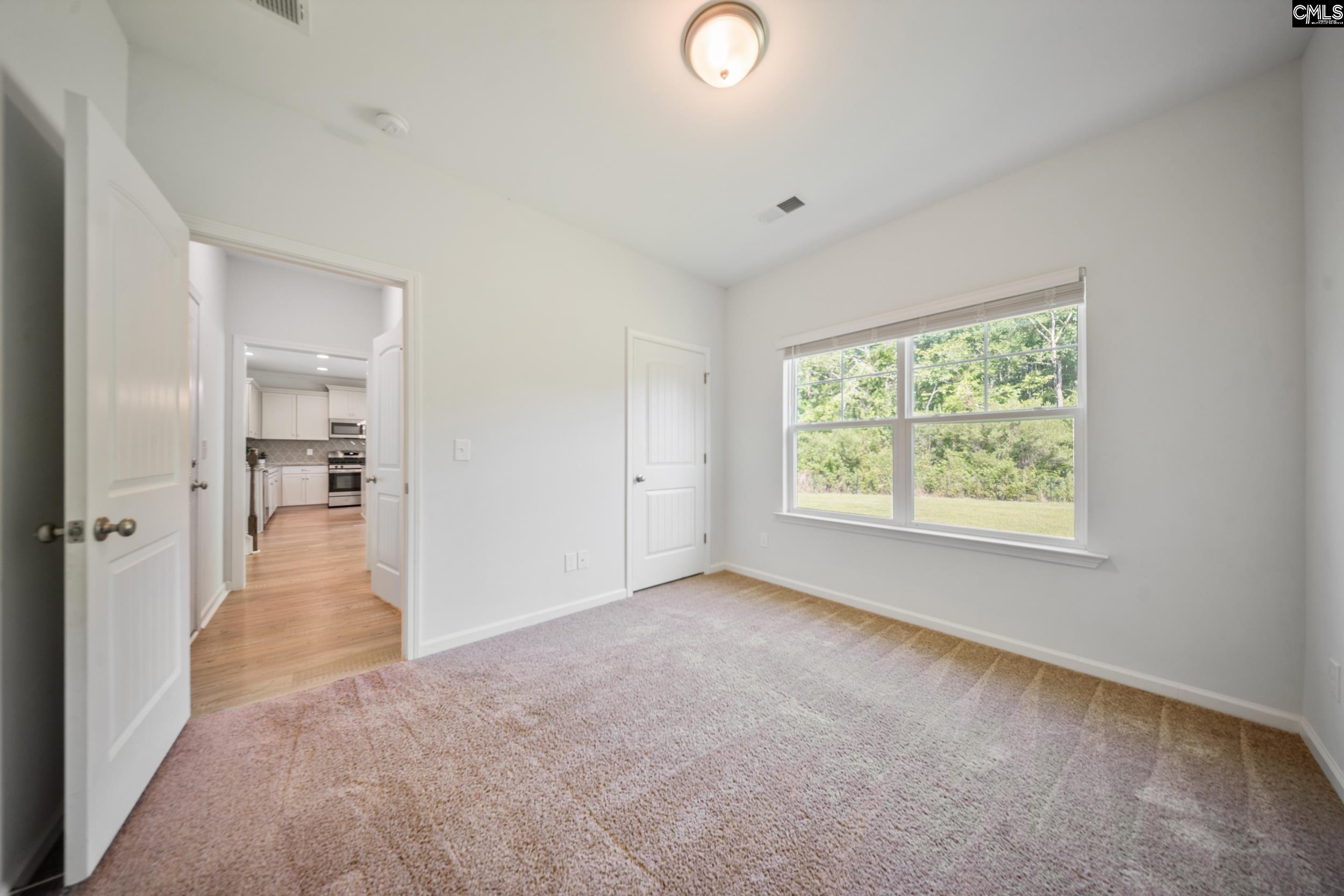 1437 Tamarind Lane, Chapin, South Carolina image 12