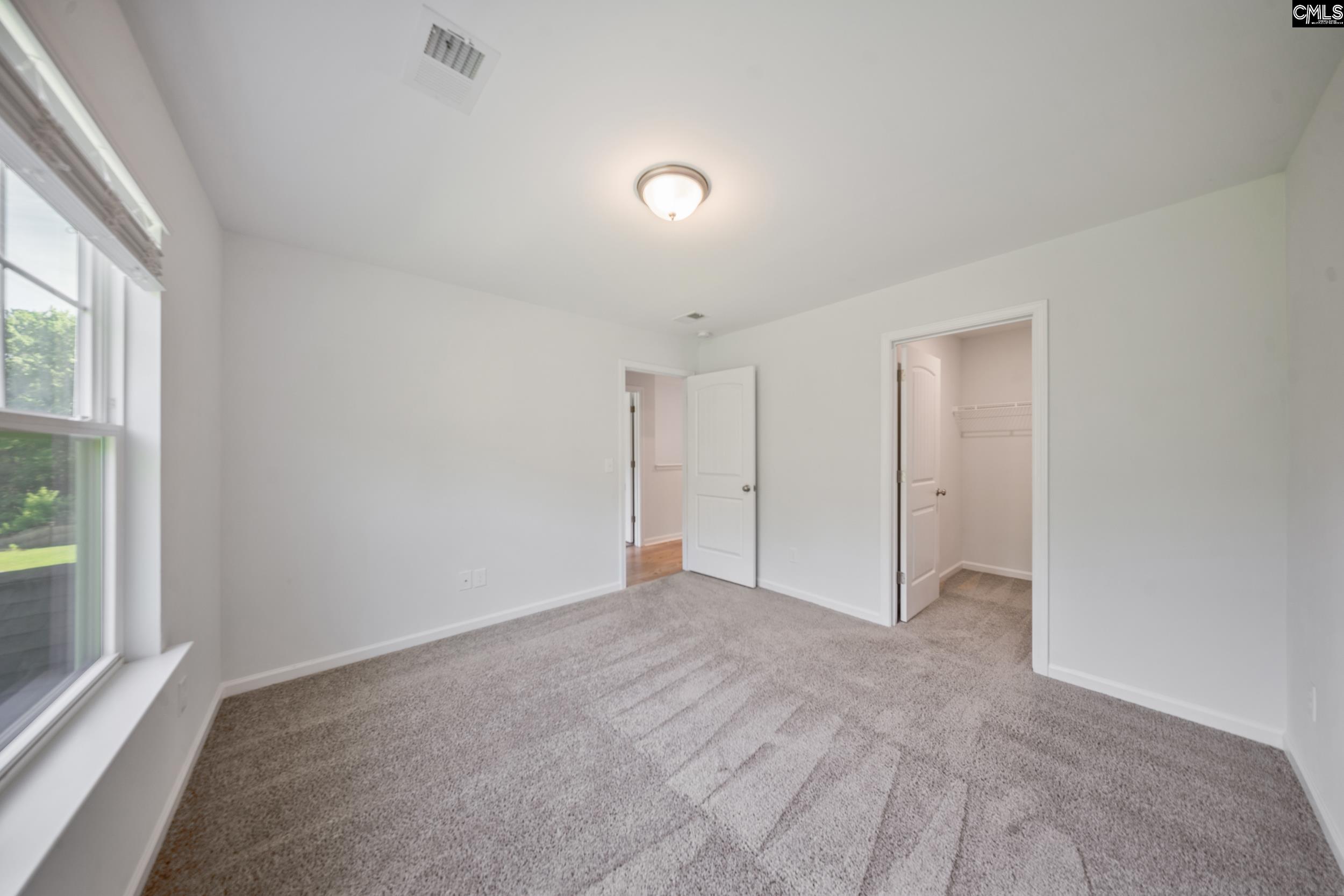 1437 Tamarind Lane, Chapin, South Carolina image 22