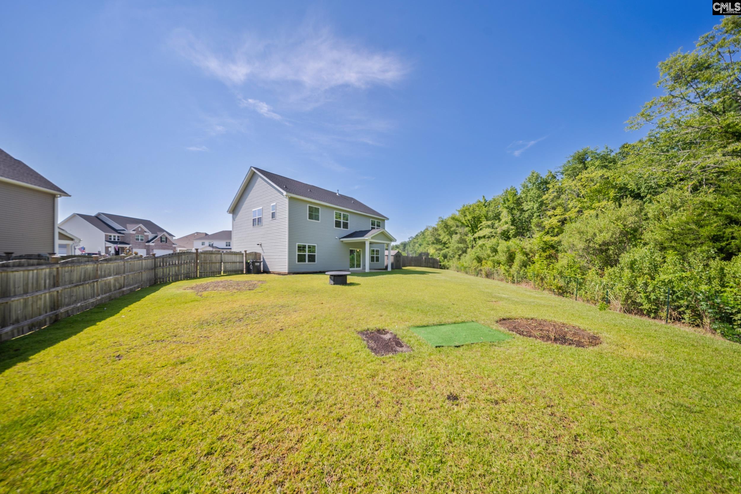 1437 Tamarind Lane, Chapin, South Carolina image 27