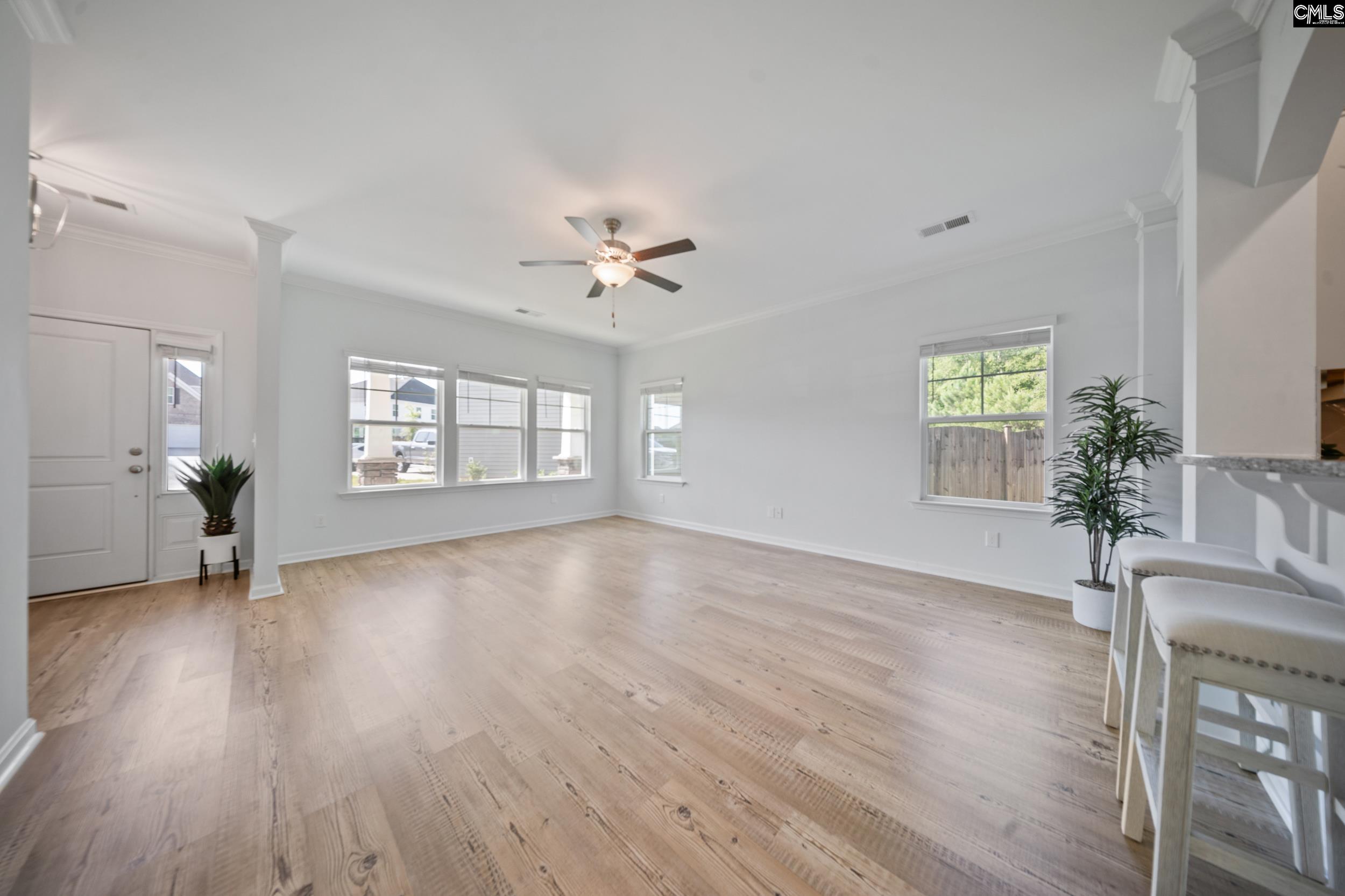1437 Tamarind Lane, Chapin, South Carolina image 4