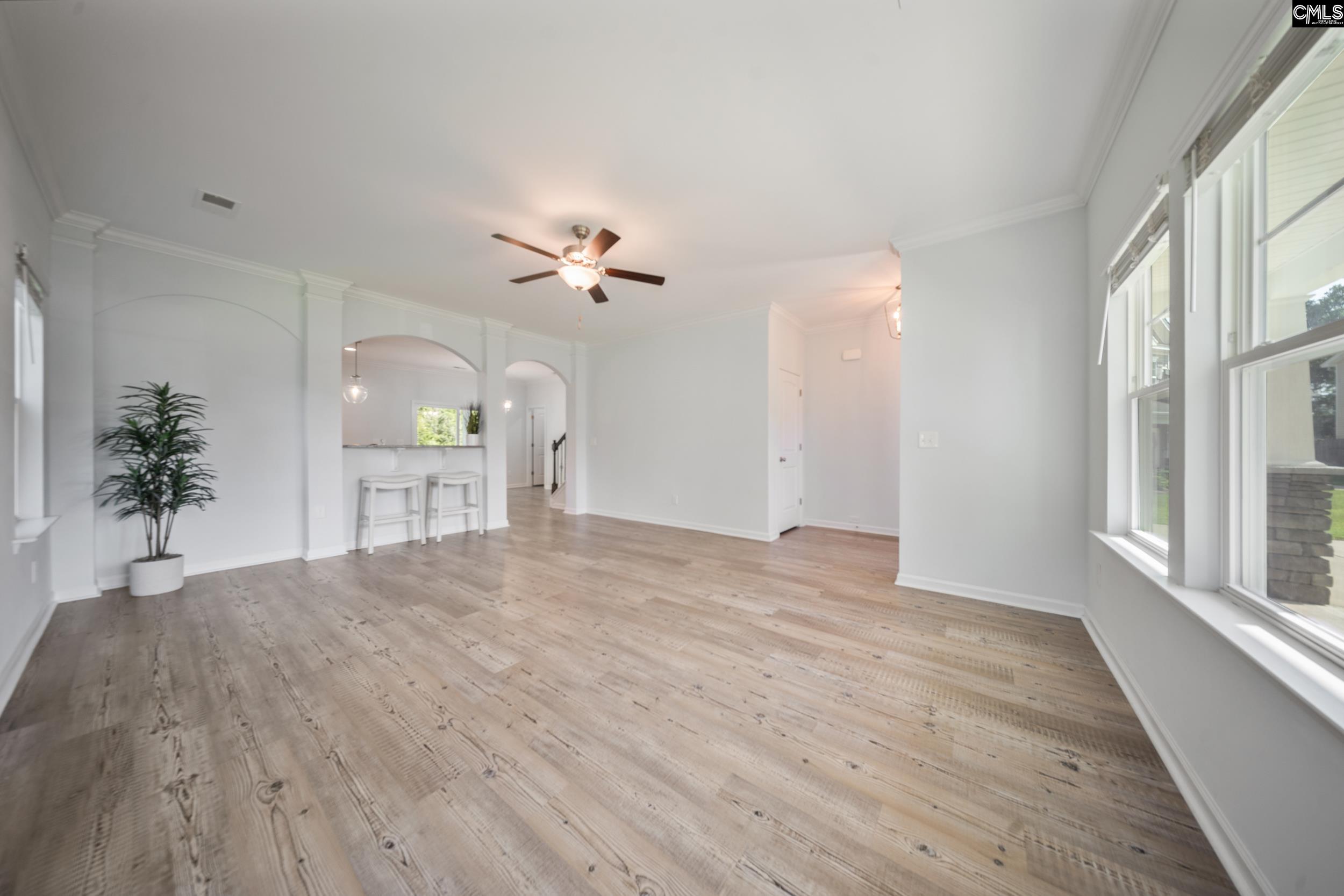 1437 Tamarind Lane, Chapin, South Carolina image 5
