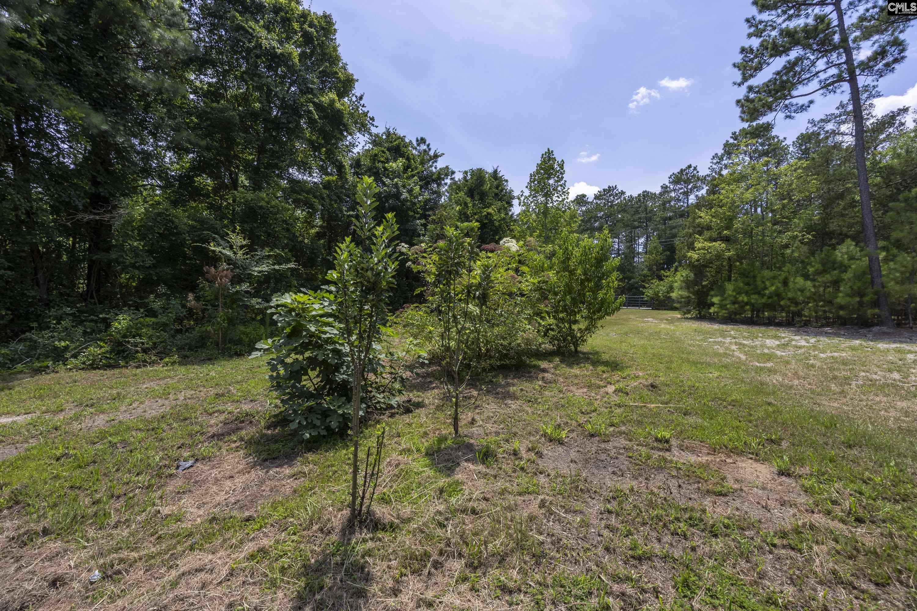 1040 Koon Road Irmo, SC 29063