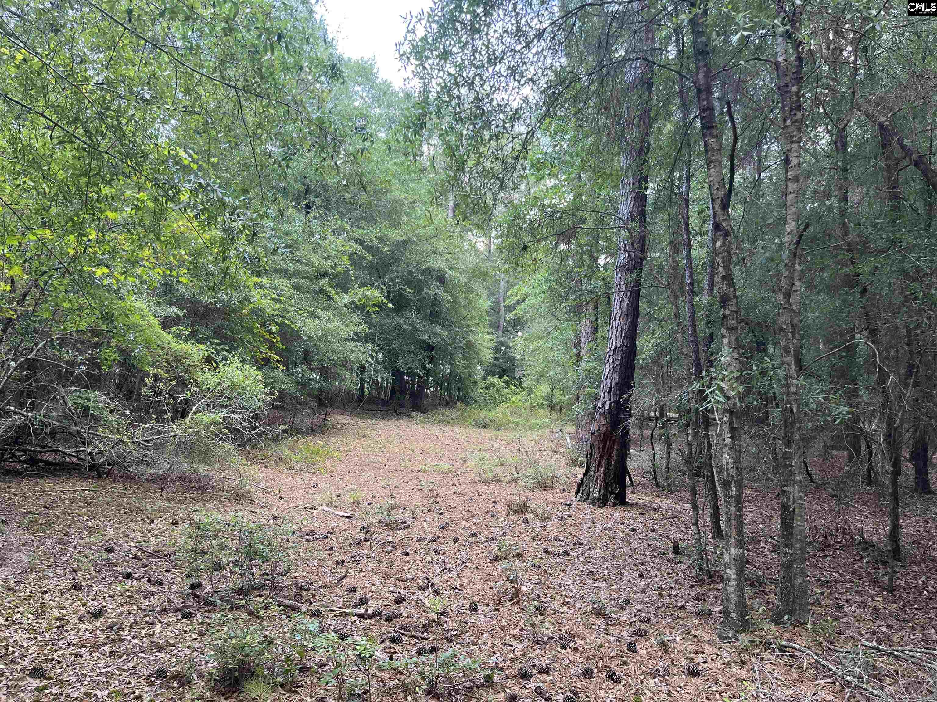 TBD Weathersby Road, Salley, South Carolina image 1