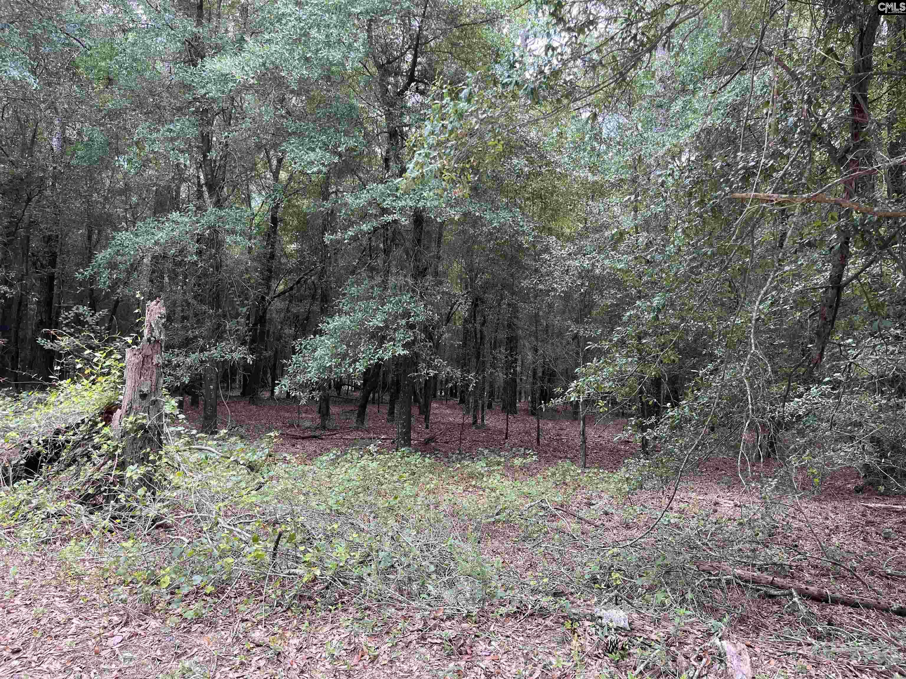 TBD Weathersby Road, Salley, South Carolina image 2