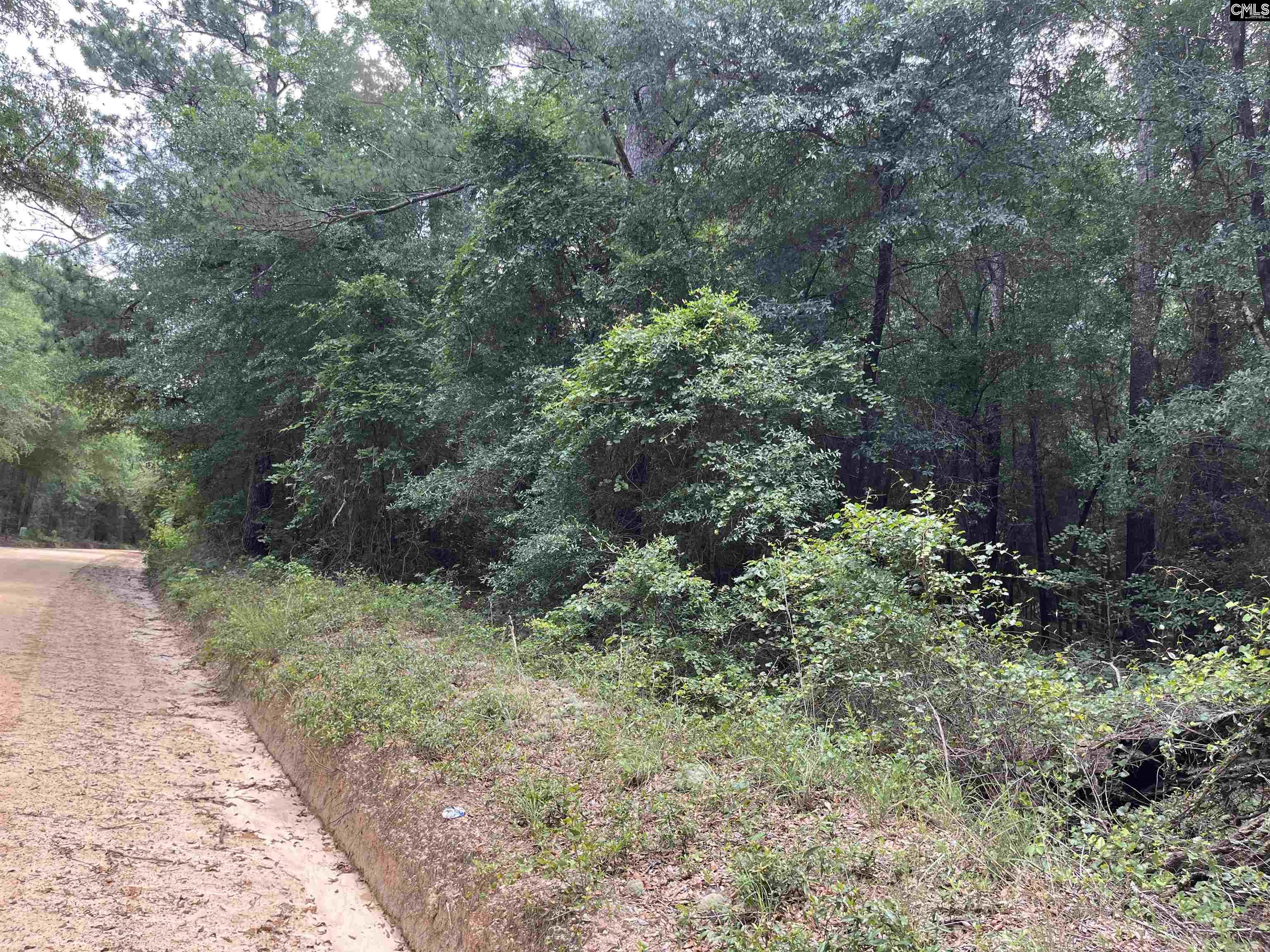 TBD Weathersby Road Salley, SC 29137