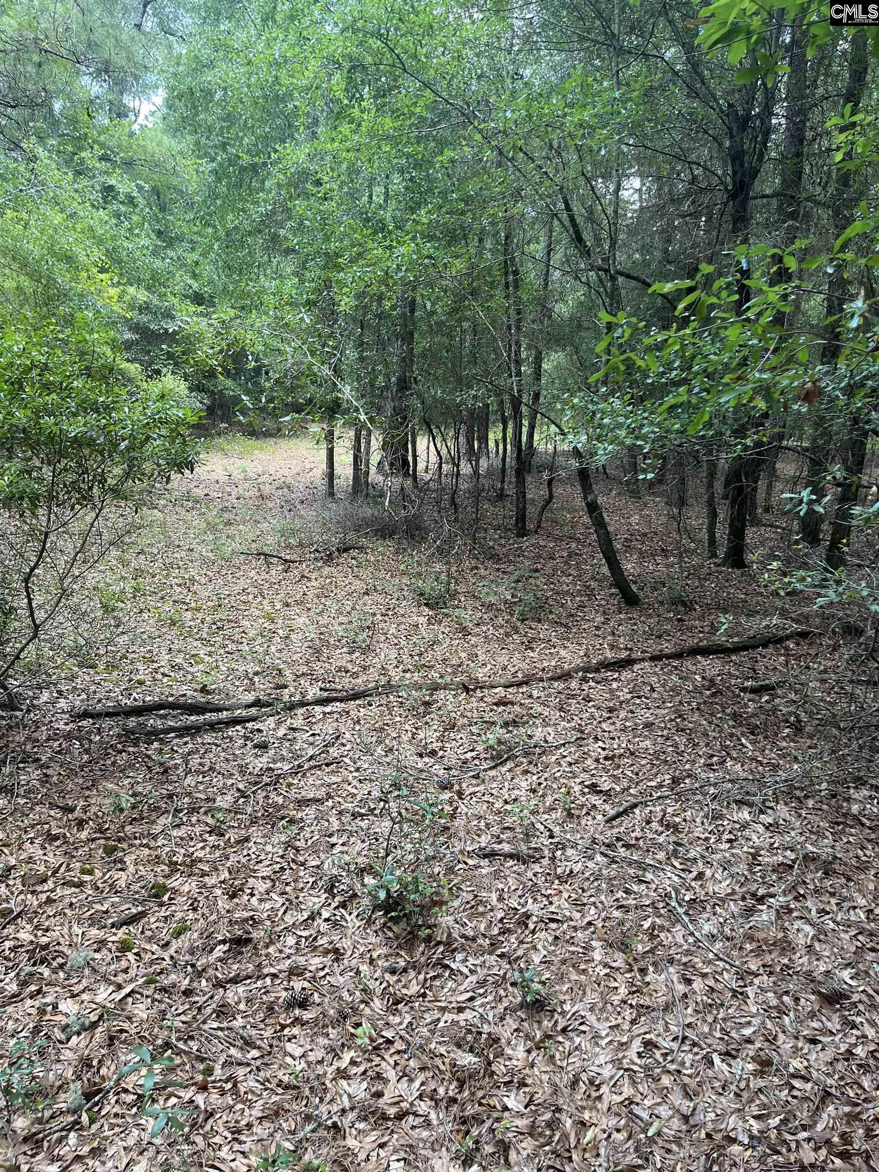 TBD Weathersby Road Salley, SC 29137