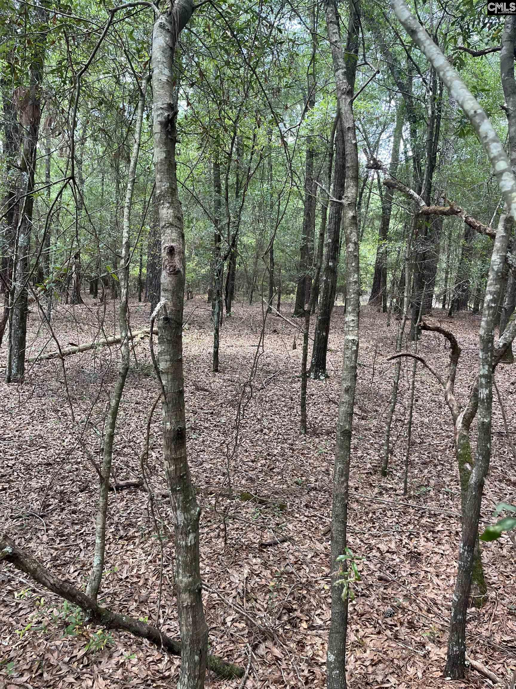 TBD Weathersby Road Salley, SC 29137