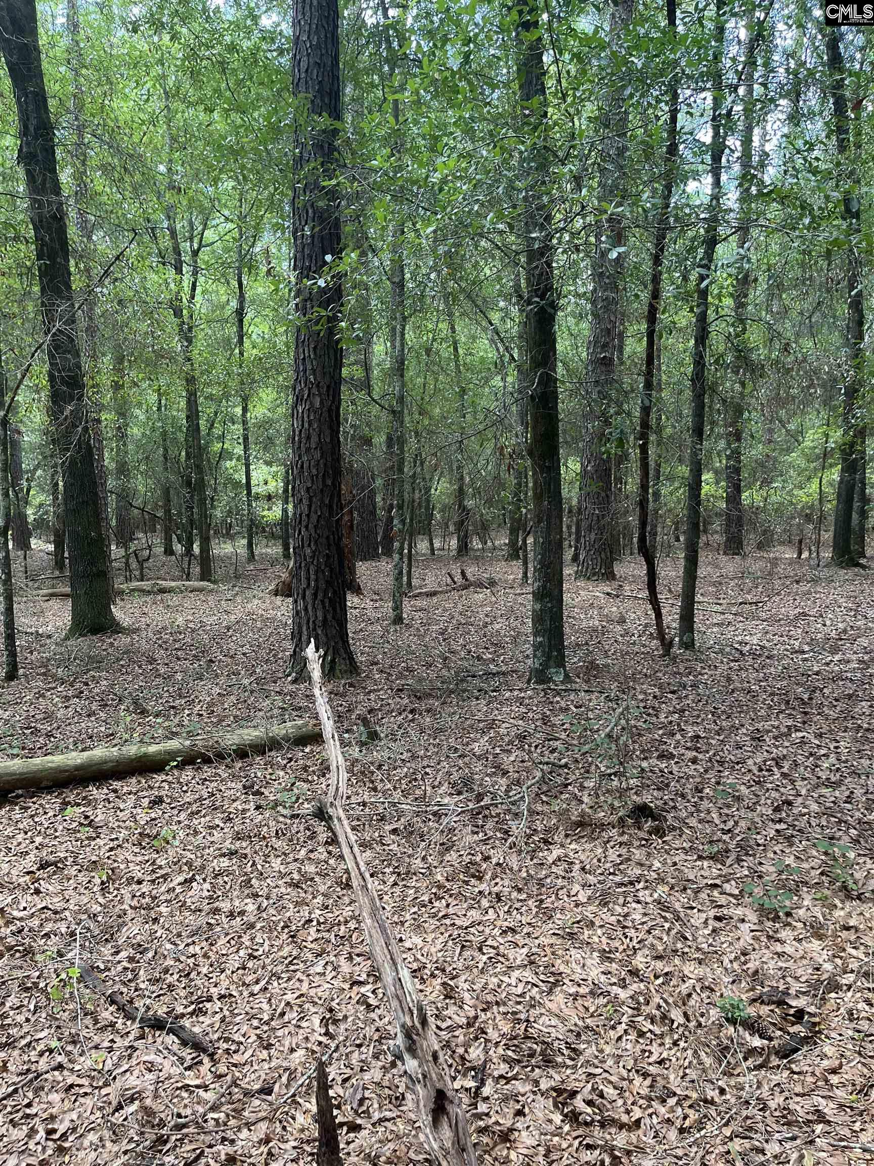 TBD Weathersby Road Salley, SC 29137