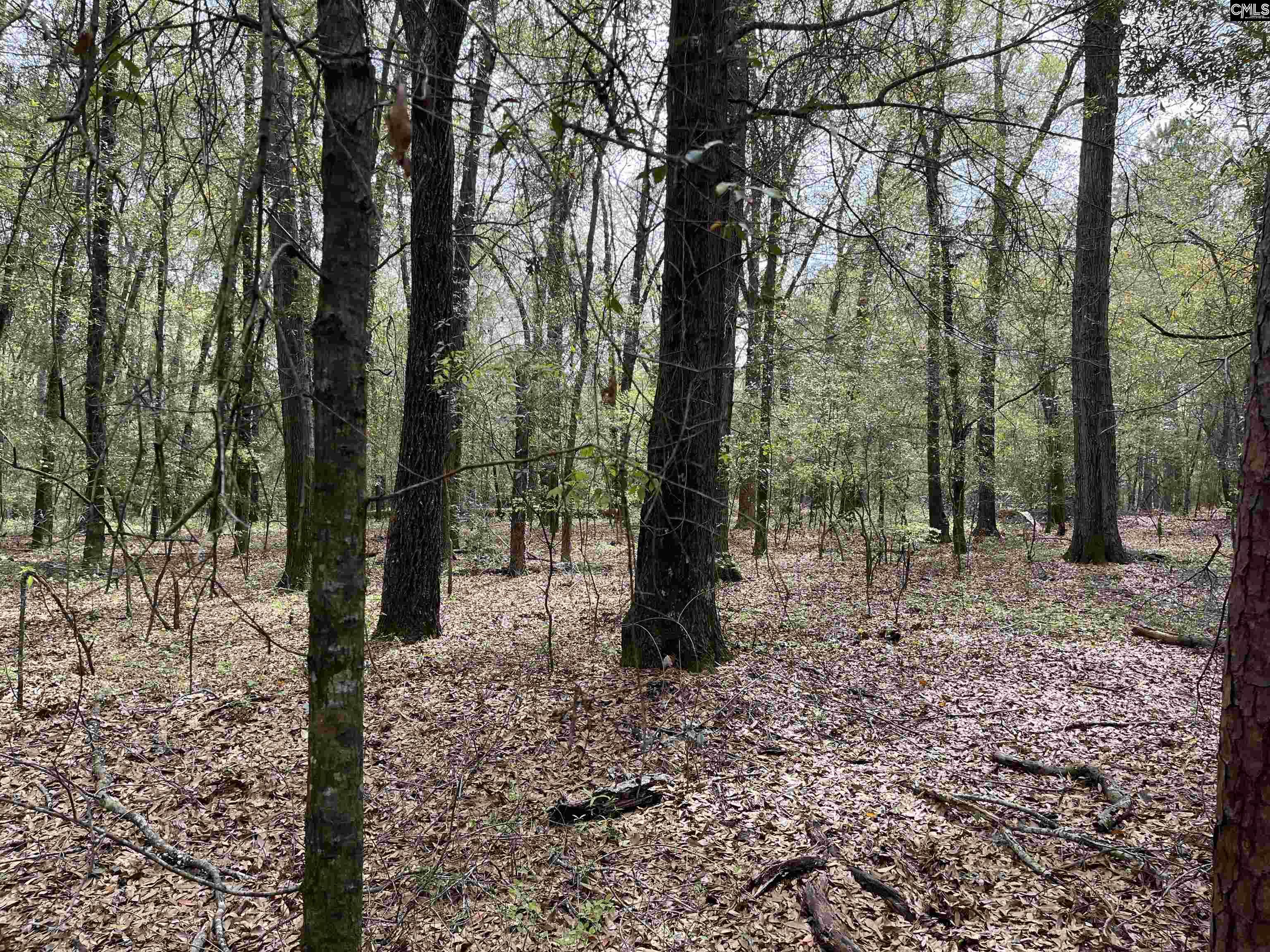 TBD Weathersby Road Salley, SC 29137