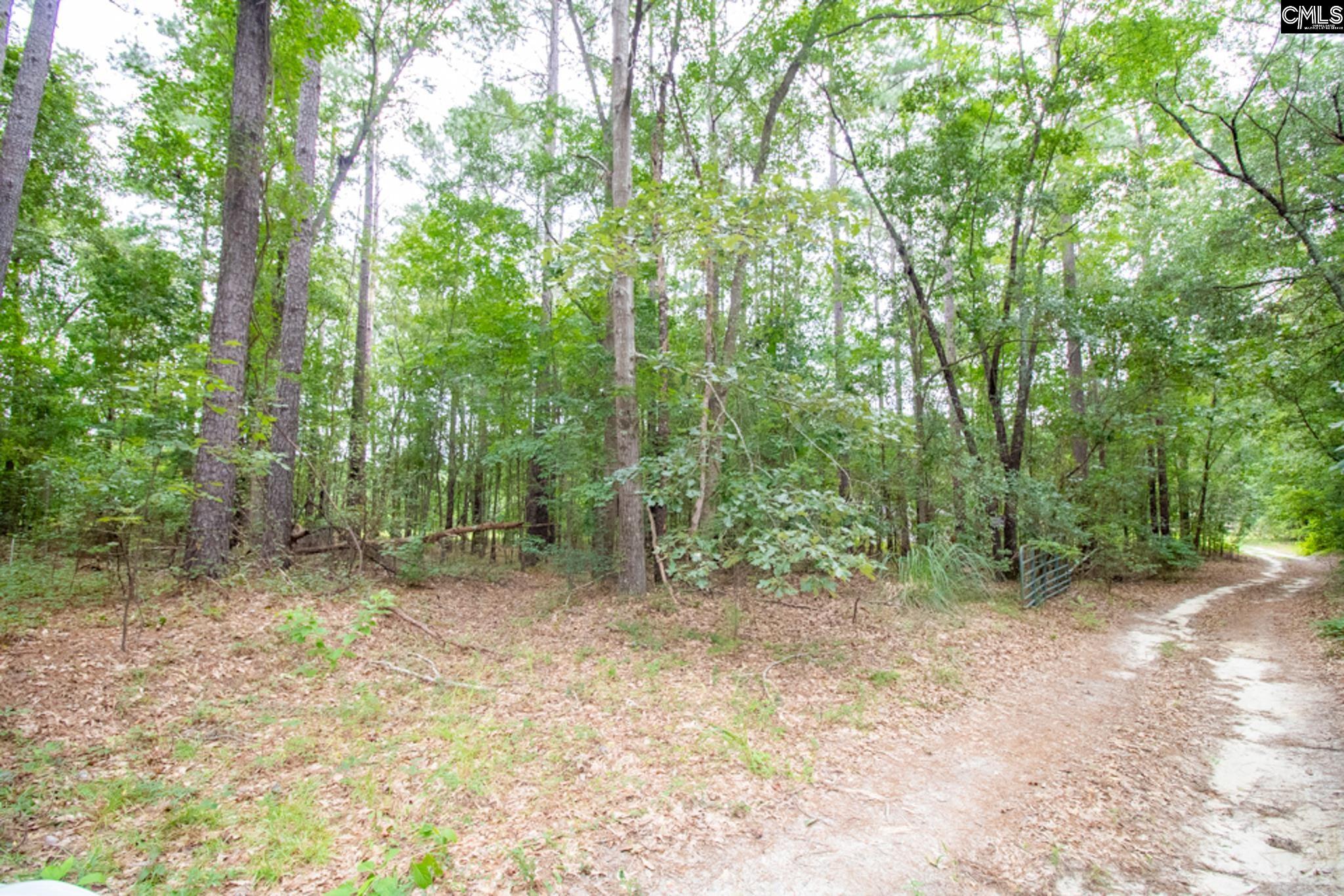 2081 Highway 178, Swansea, South Carolina image 19