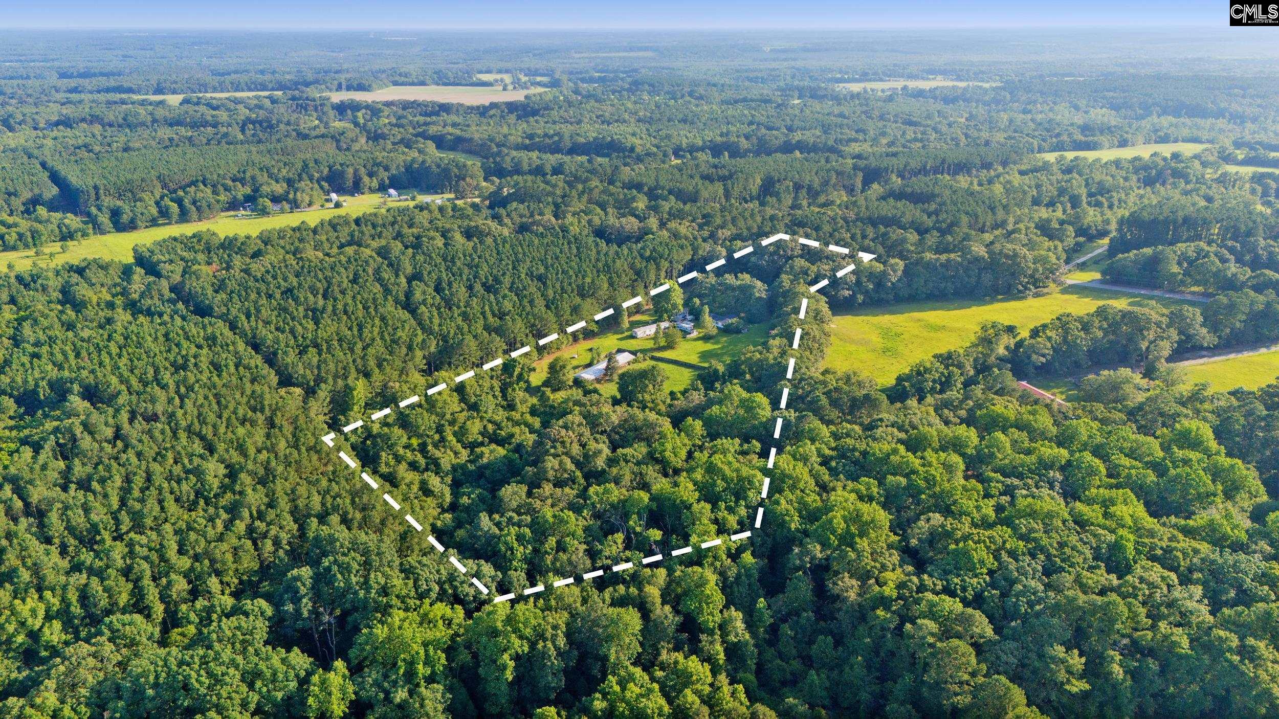 2081 Highway 178, Swansea, South Carolina image 3