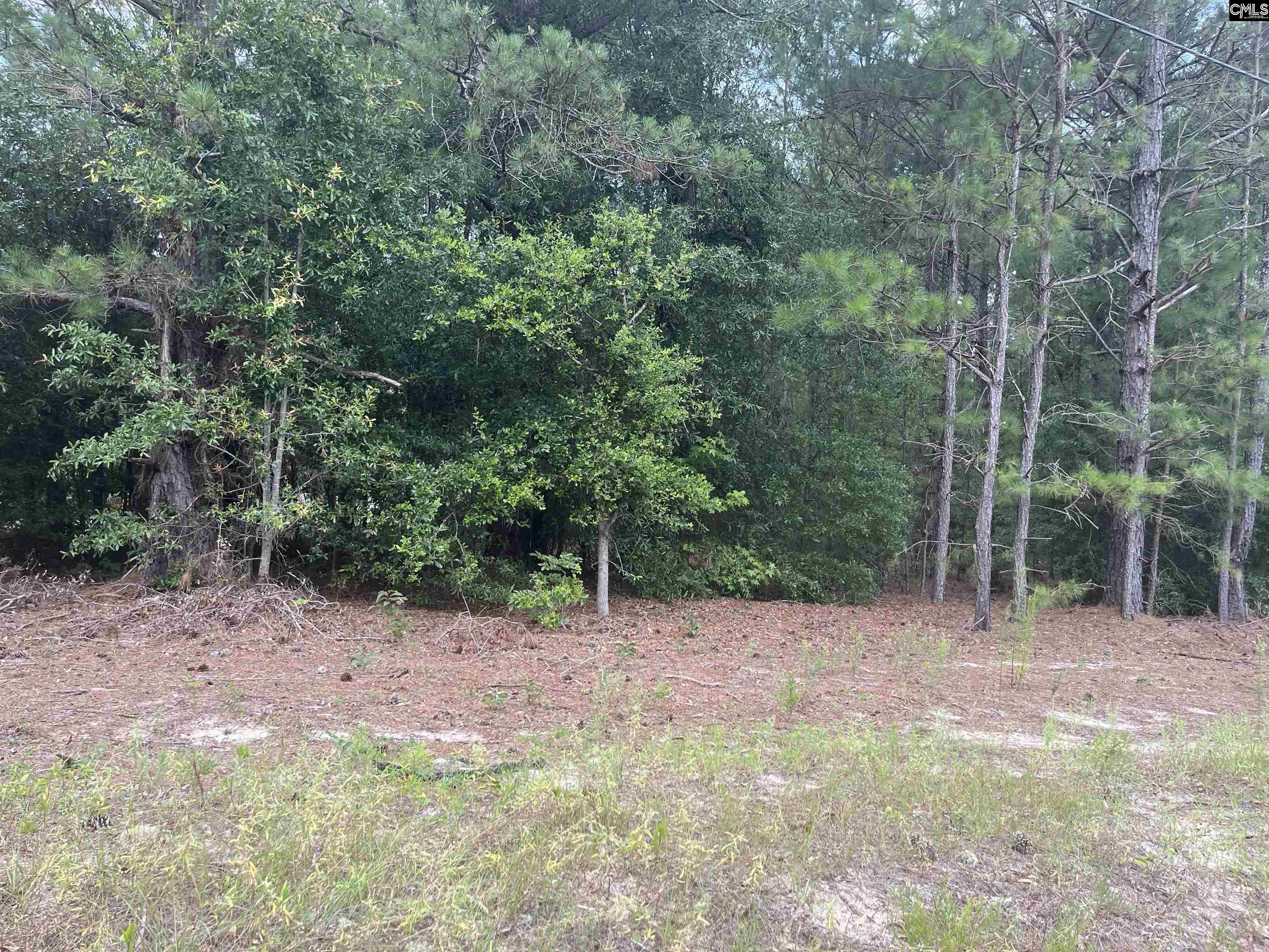 TBD Festival Trail Road, Salley, South Carolina image 1