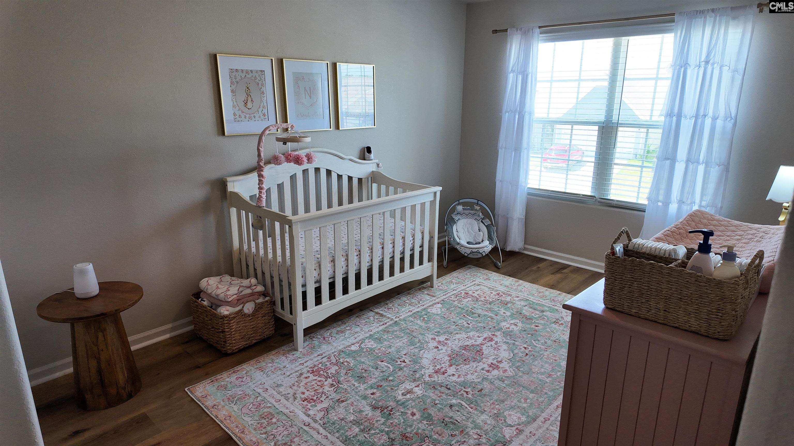 255 Common Reed Drive, Gilbert, South Carolina image 38
