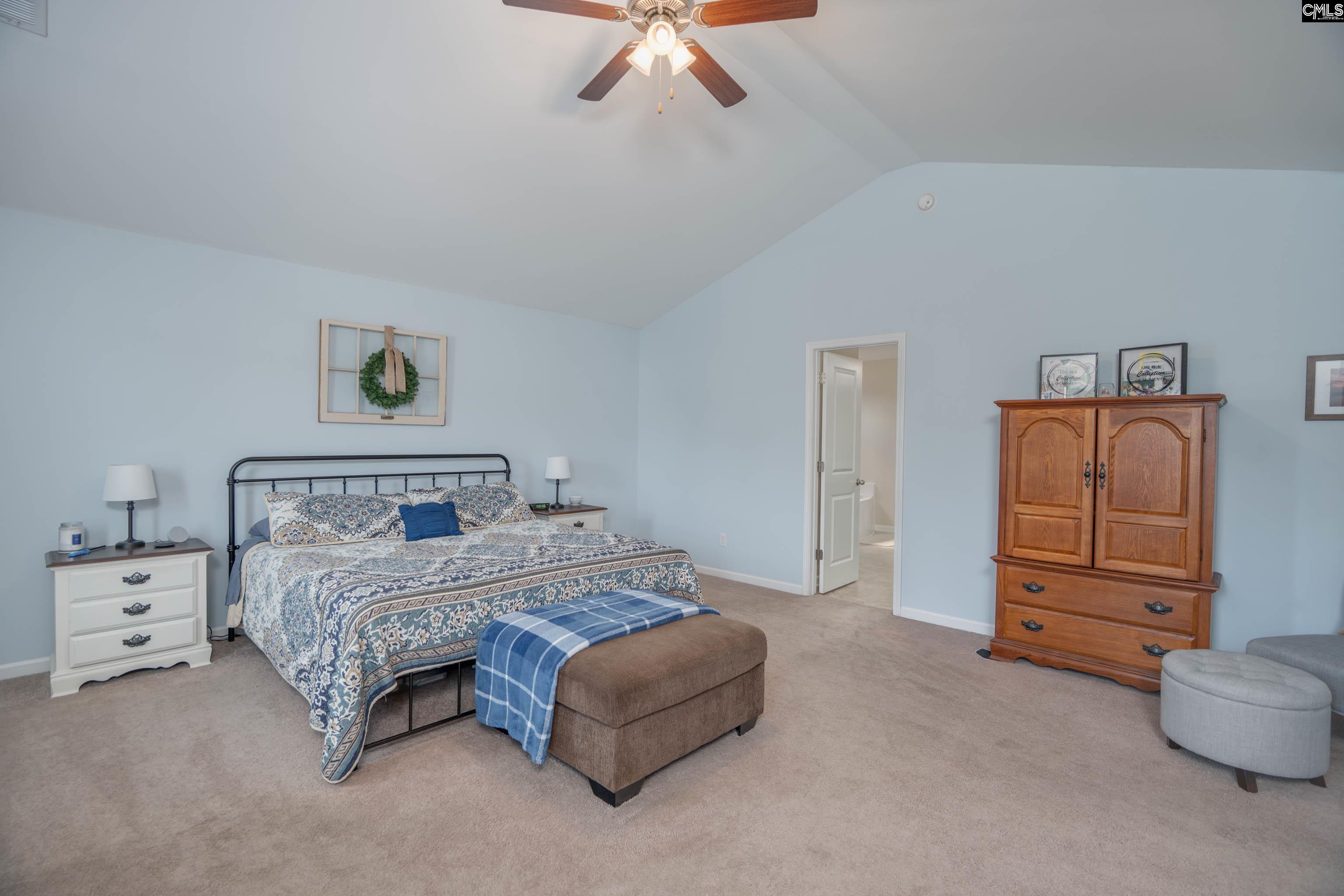 611 Colony Lakes Dr, Lexington, South Carolina image 26