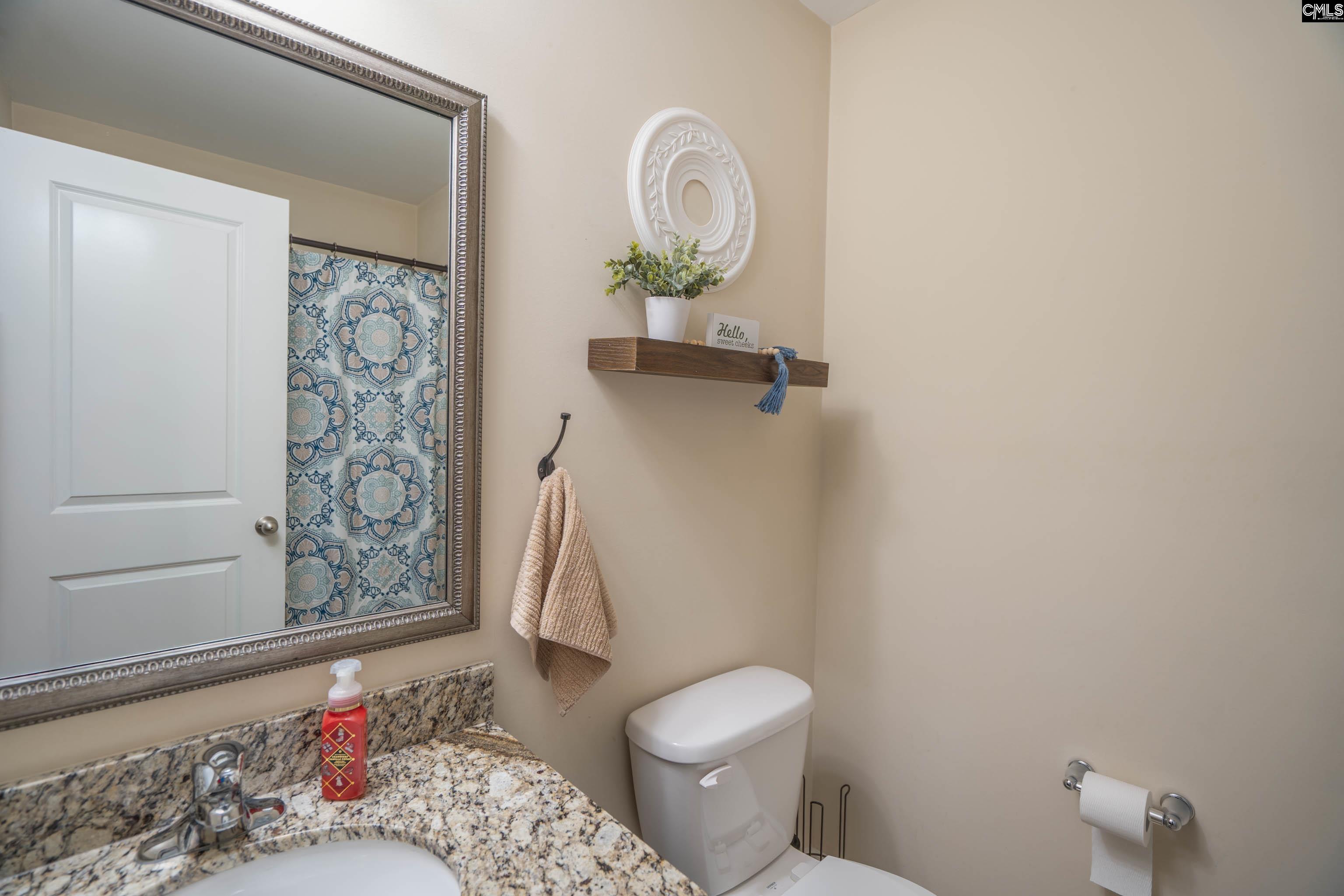 611 Colony Lakes Dr, Lexington, South Carolina image 35