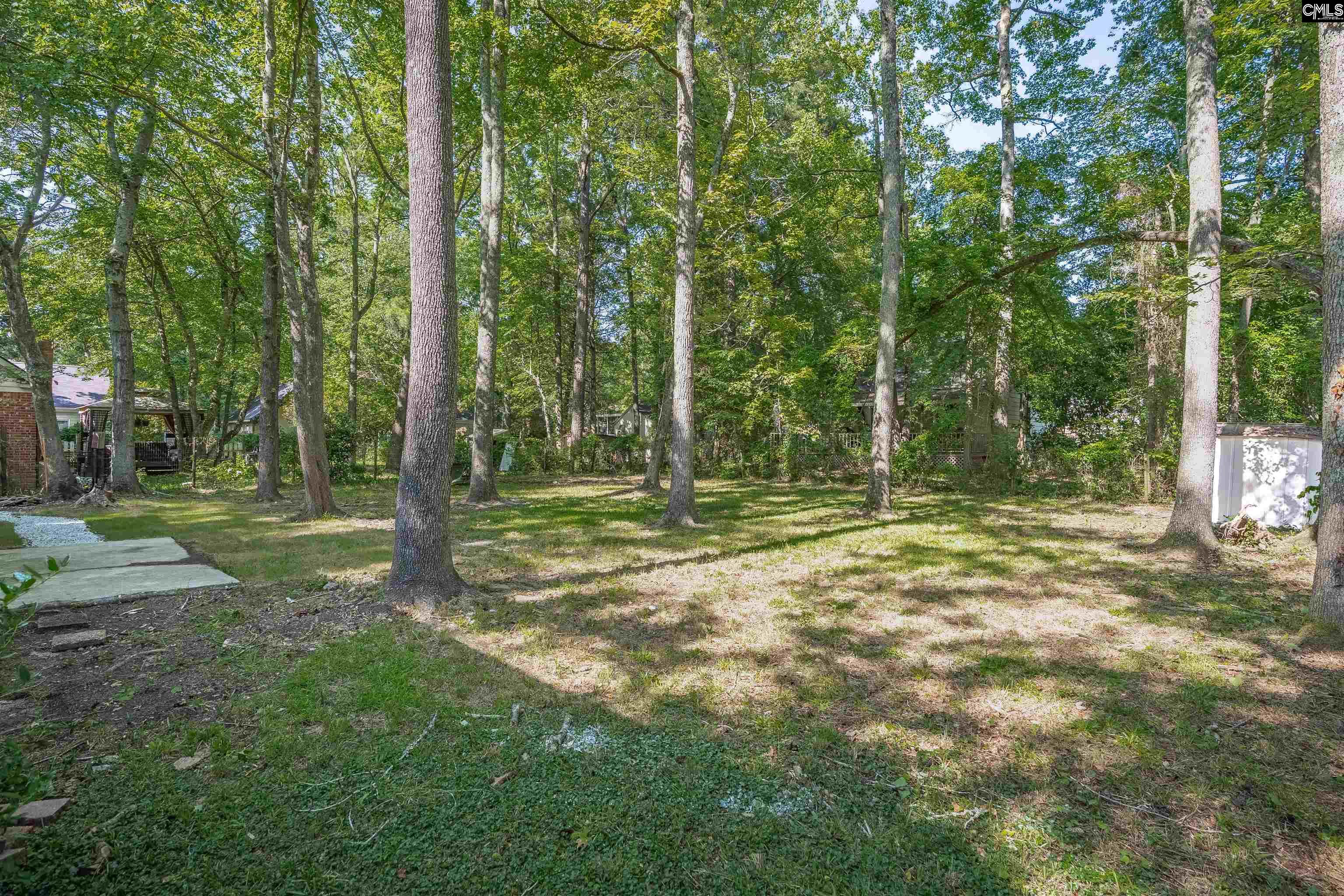 455 Harleston Road, Irmo, South Carolina image 38
