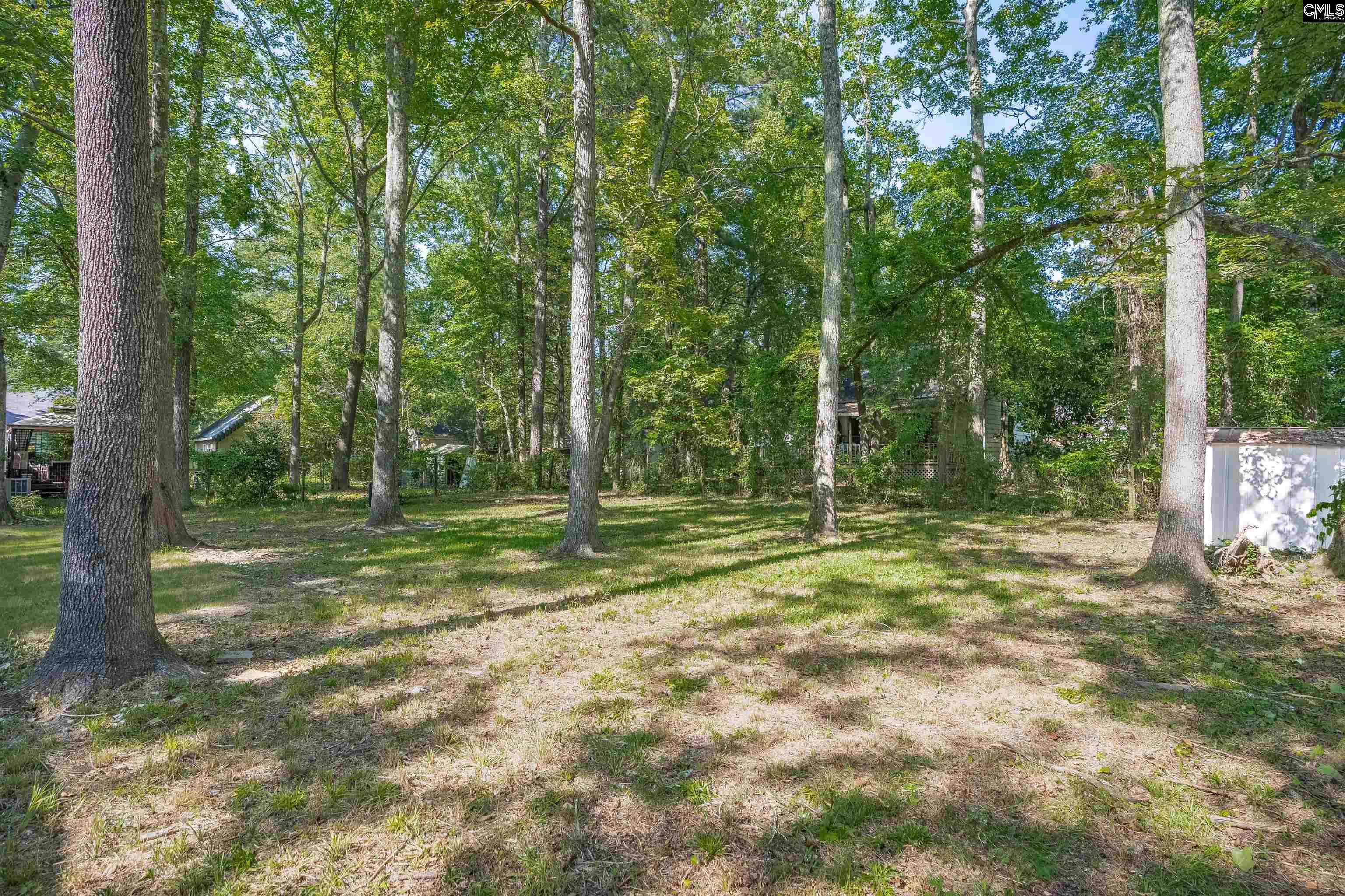 455 Harleston Road, Irmo, South Carolina image 39
