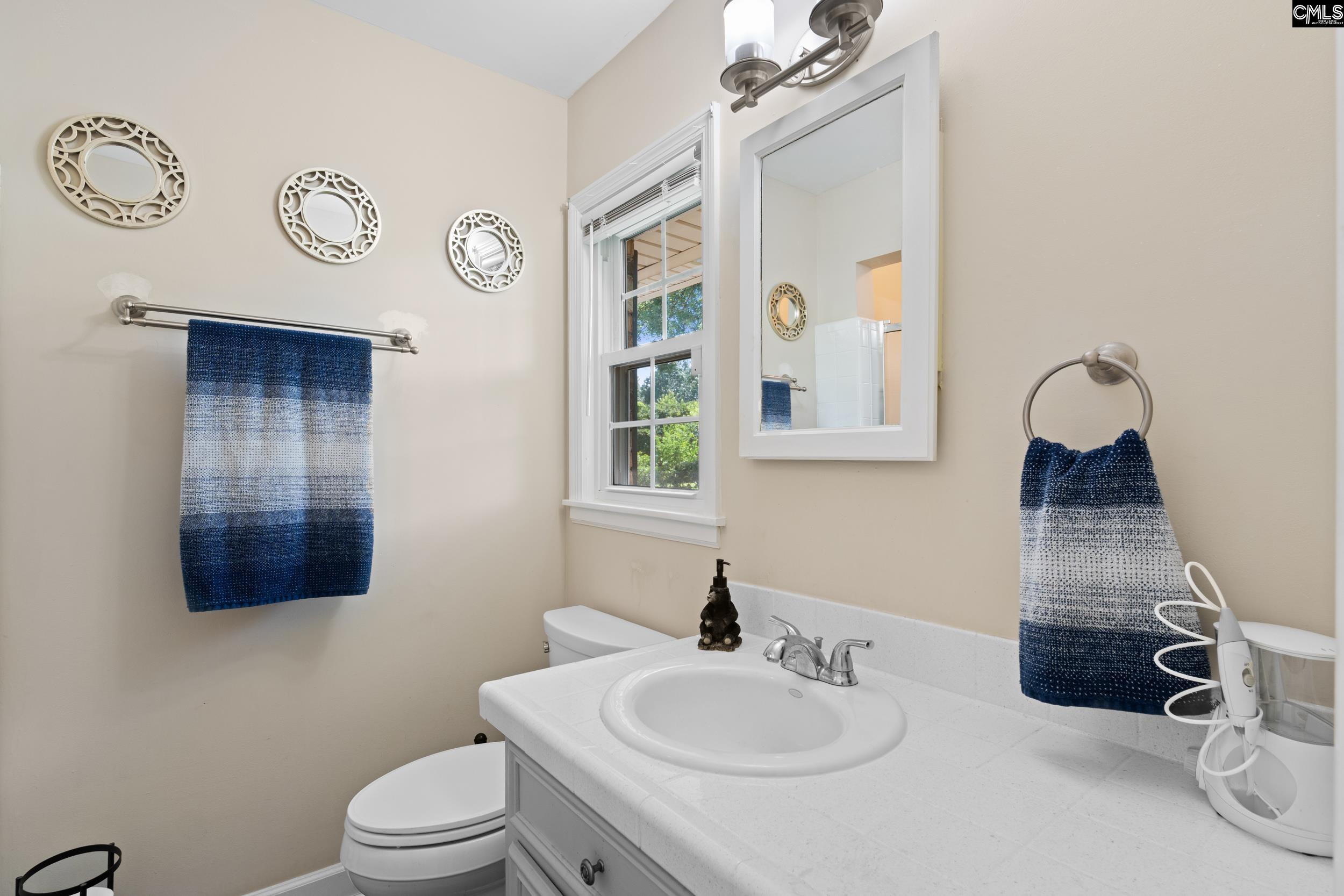 357 Longwood Drive, Lexington, South Carolina image 19