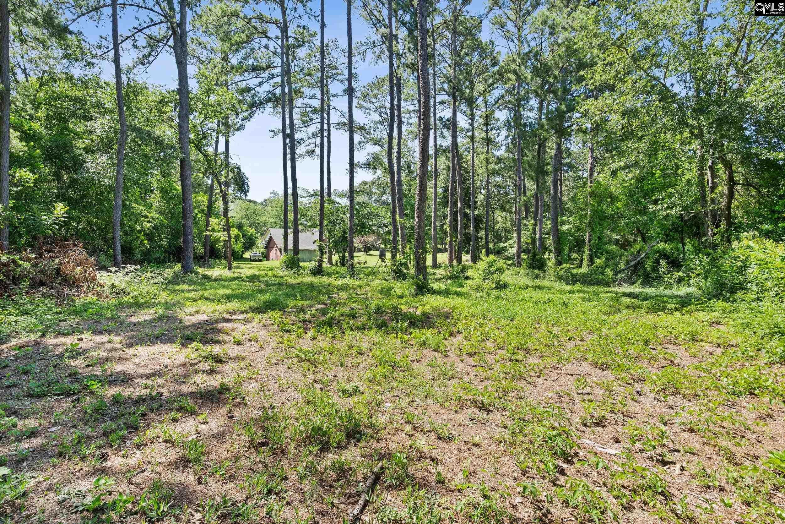 357 Longwood Drive, Lexington, South Carolina image 30