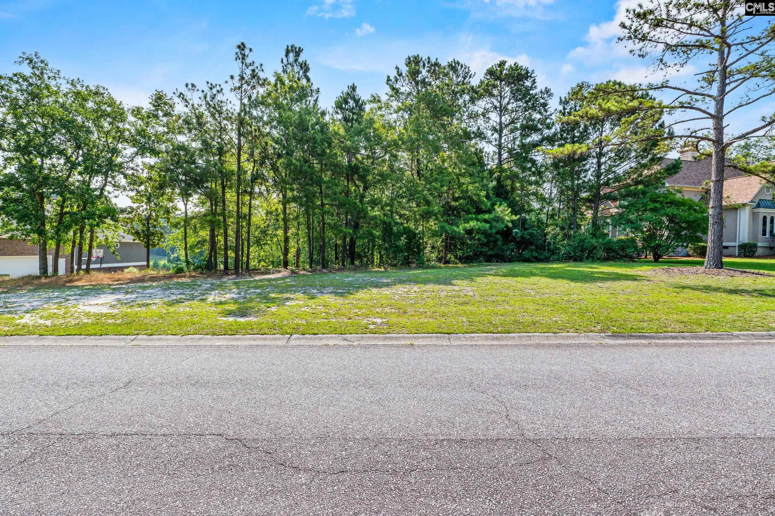 208 Crickentree Drive, Blythewood, South Carolina image 14