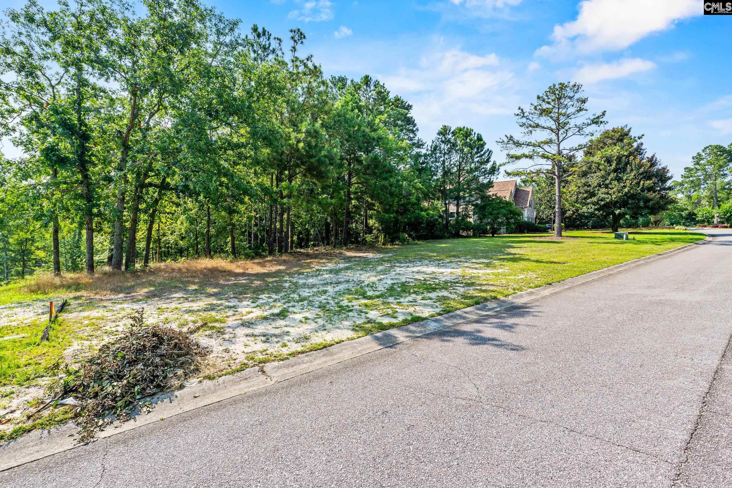 208 Crickentree Drive, Blythewood, South Carolina image 15