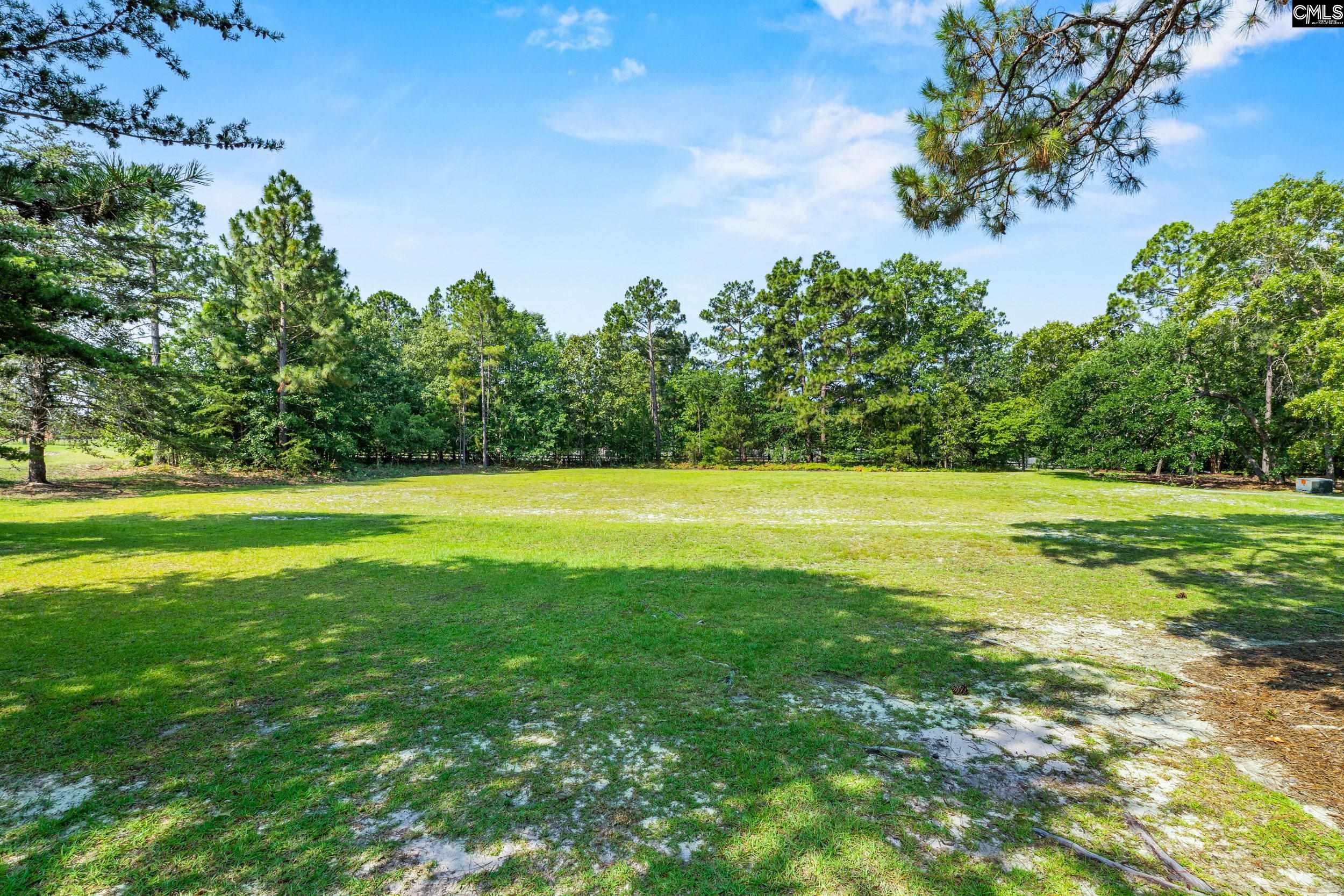 208 Crickentree Drive, Blythewood, South Carolina image 18