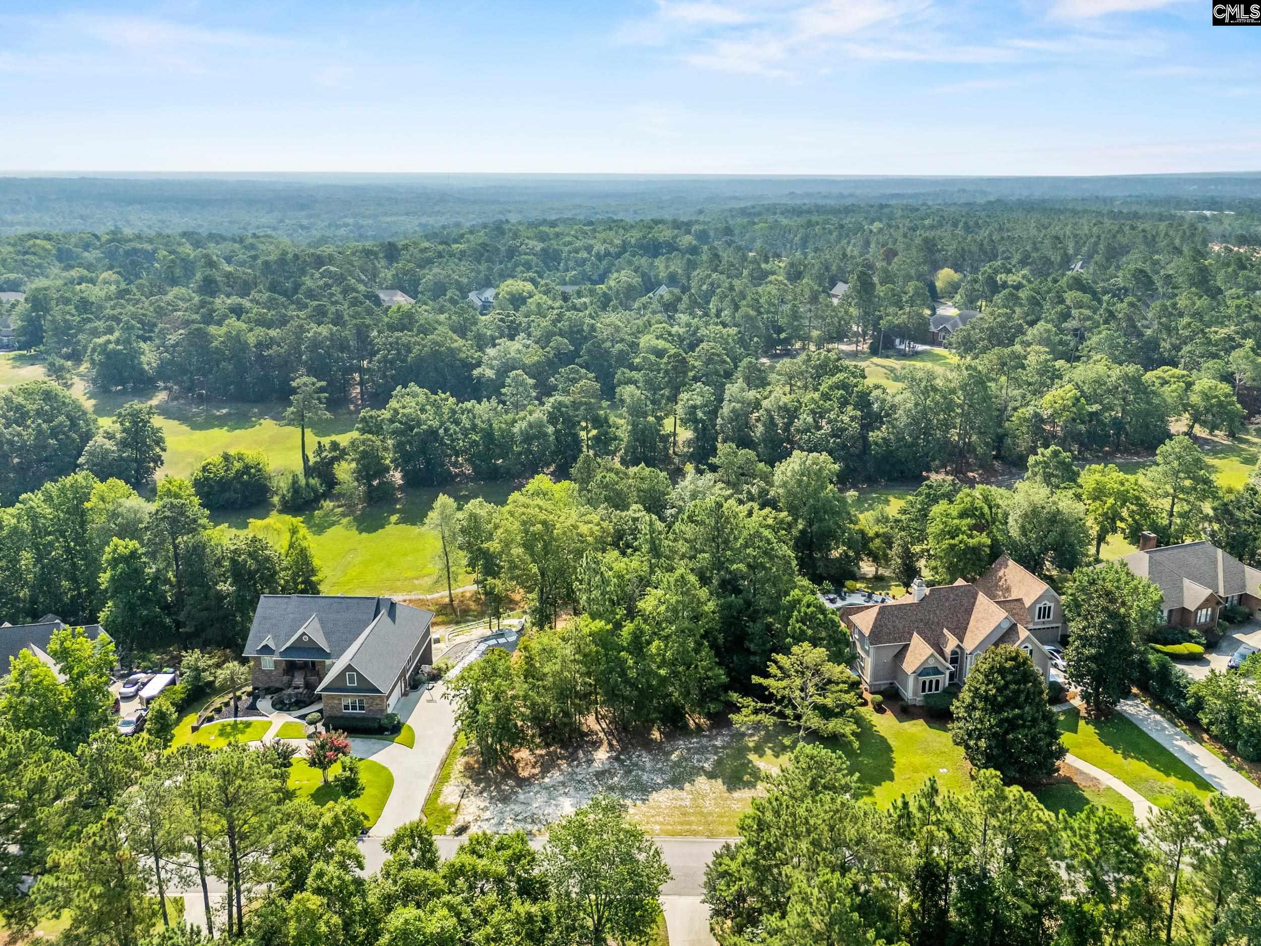 208 Crickentree Drive, Blythewood, South Carolina image 5