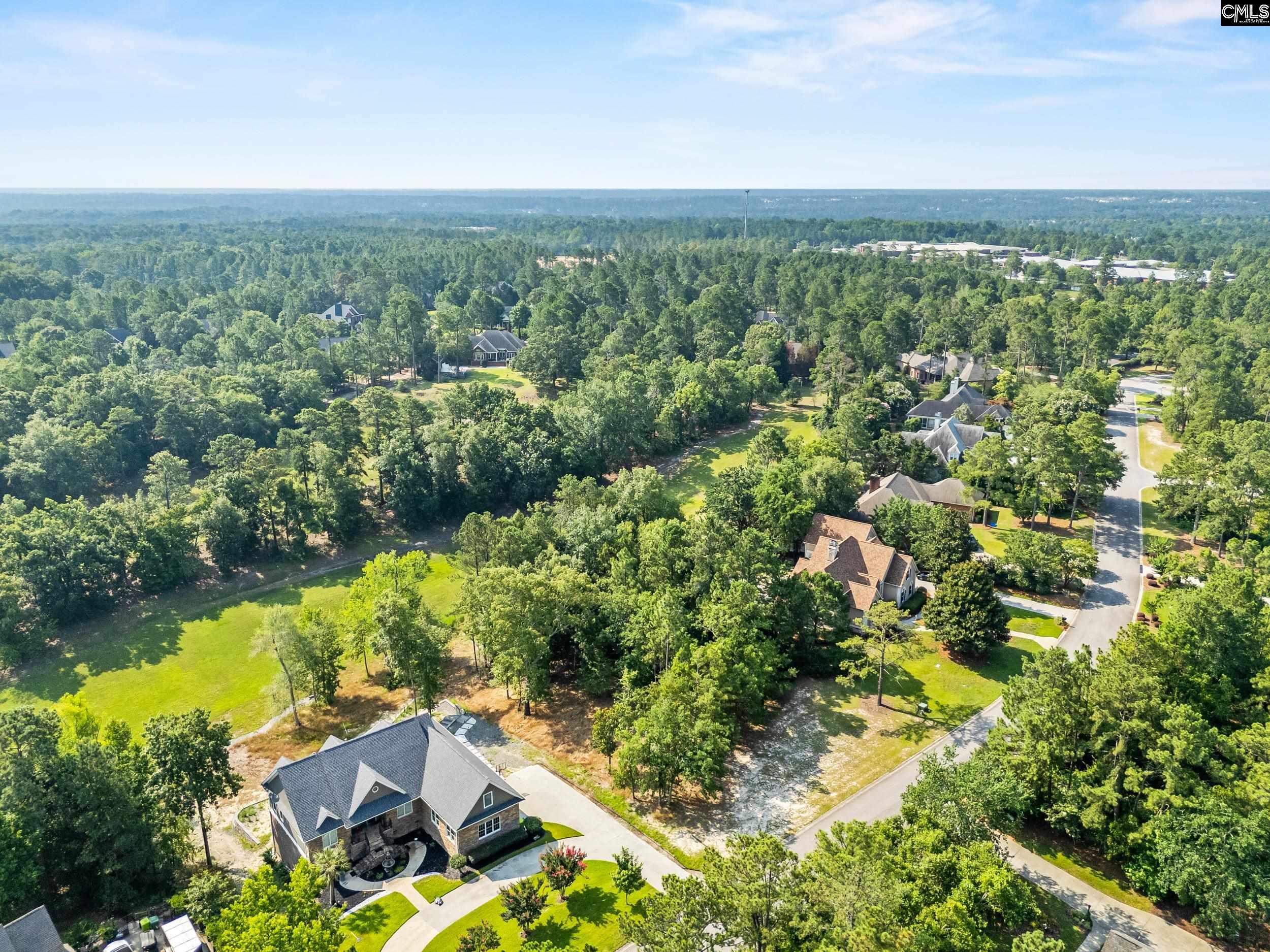 208 Crickentree Drive, Blythewood, South Carolina image 6