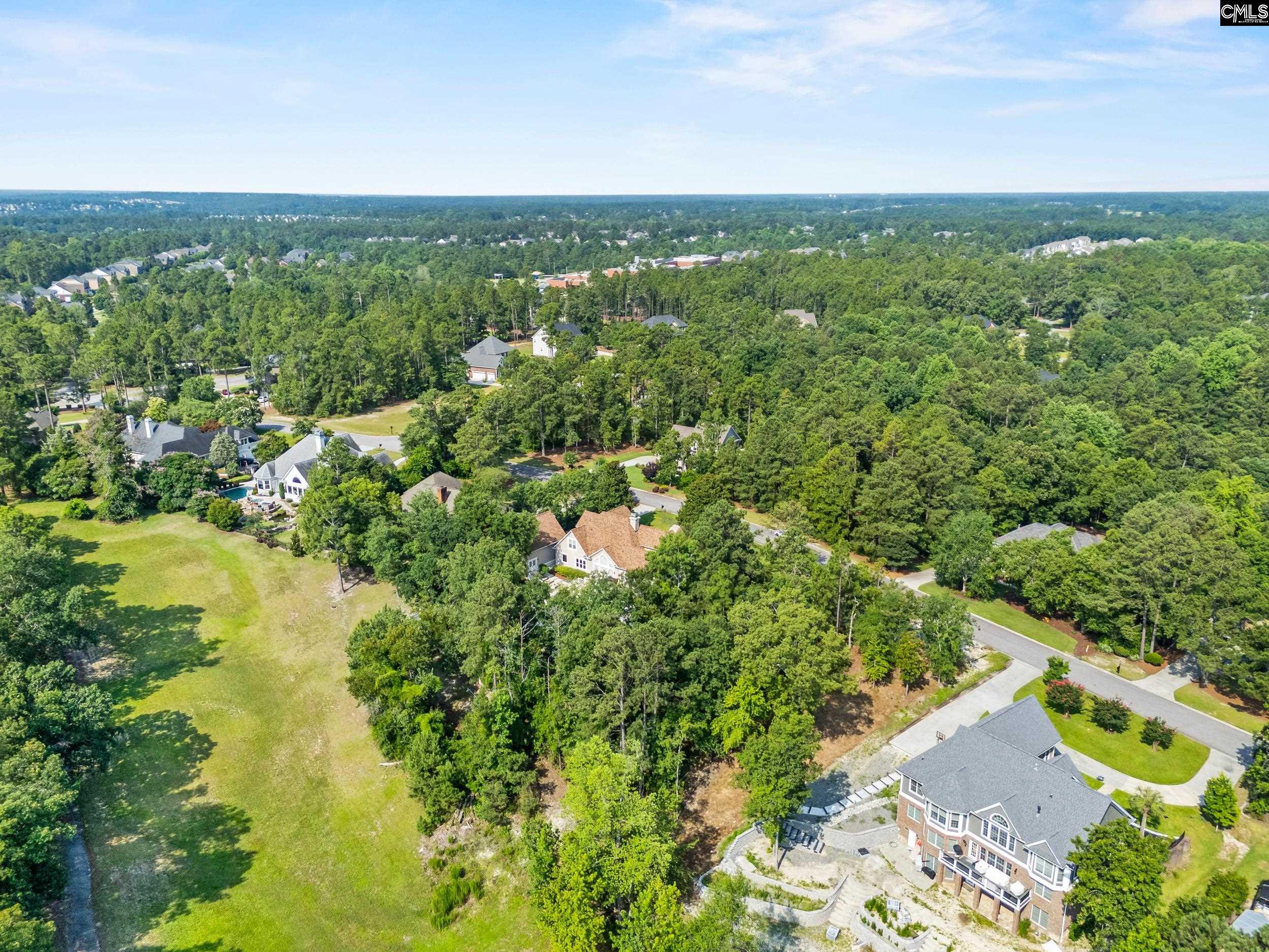 208 Crickentree Drive, Blythewood, South Carolina image 7