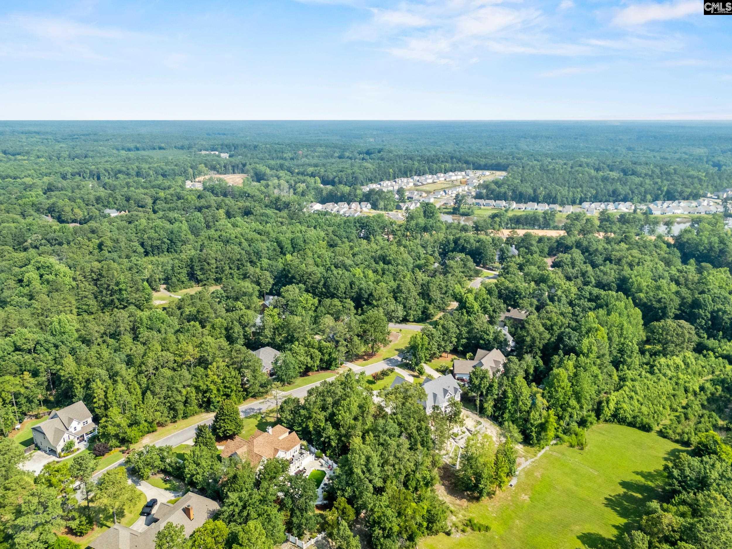 208 Crickentree Drive, Blythewood, South Carolina image 8