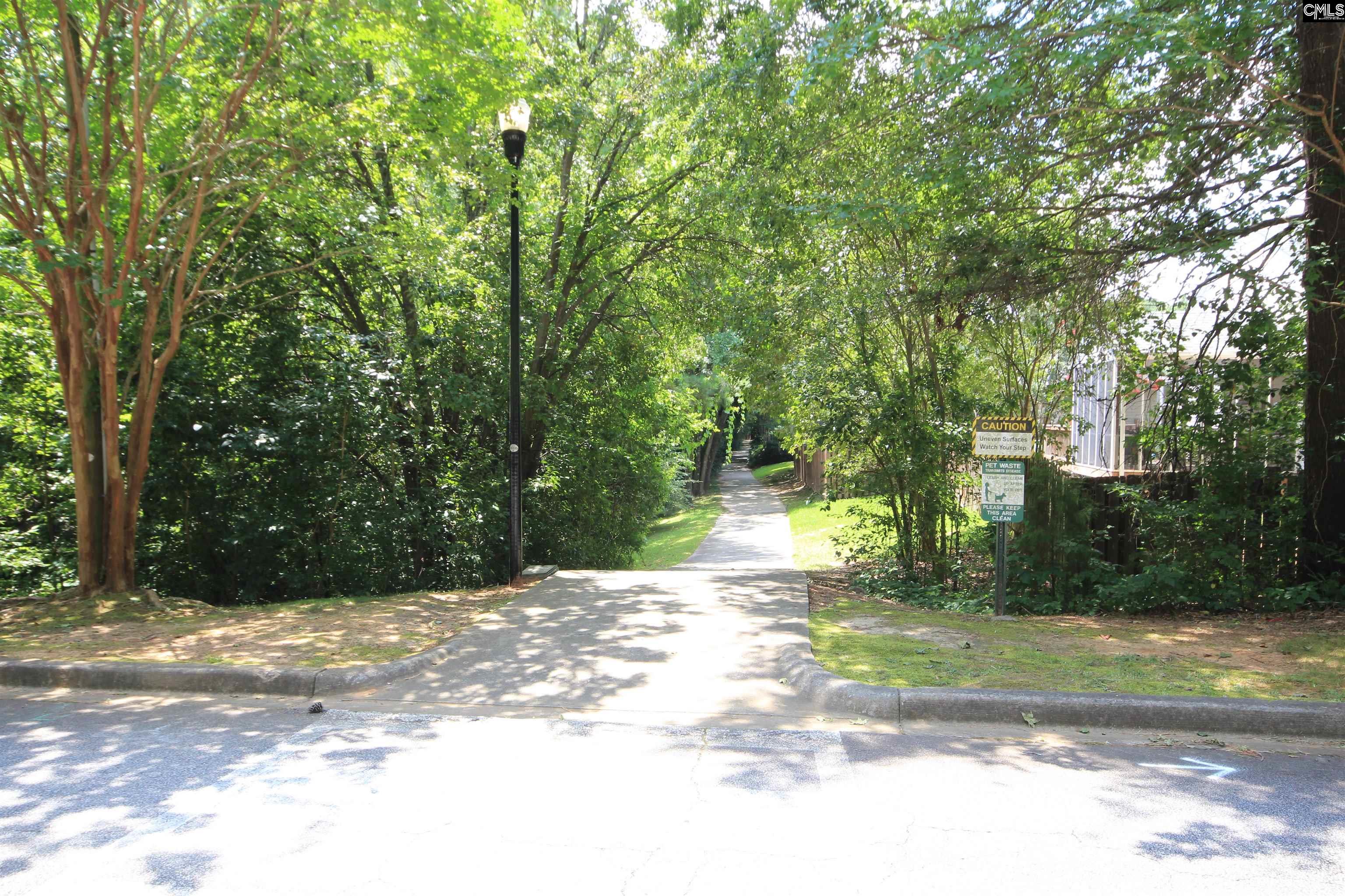 6 Crown Point Court, Irmo, South Carolina image 38