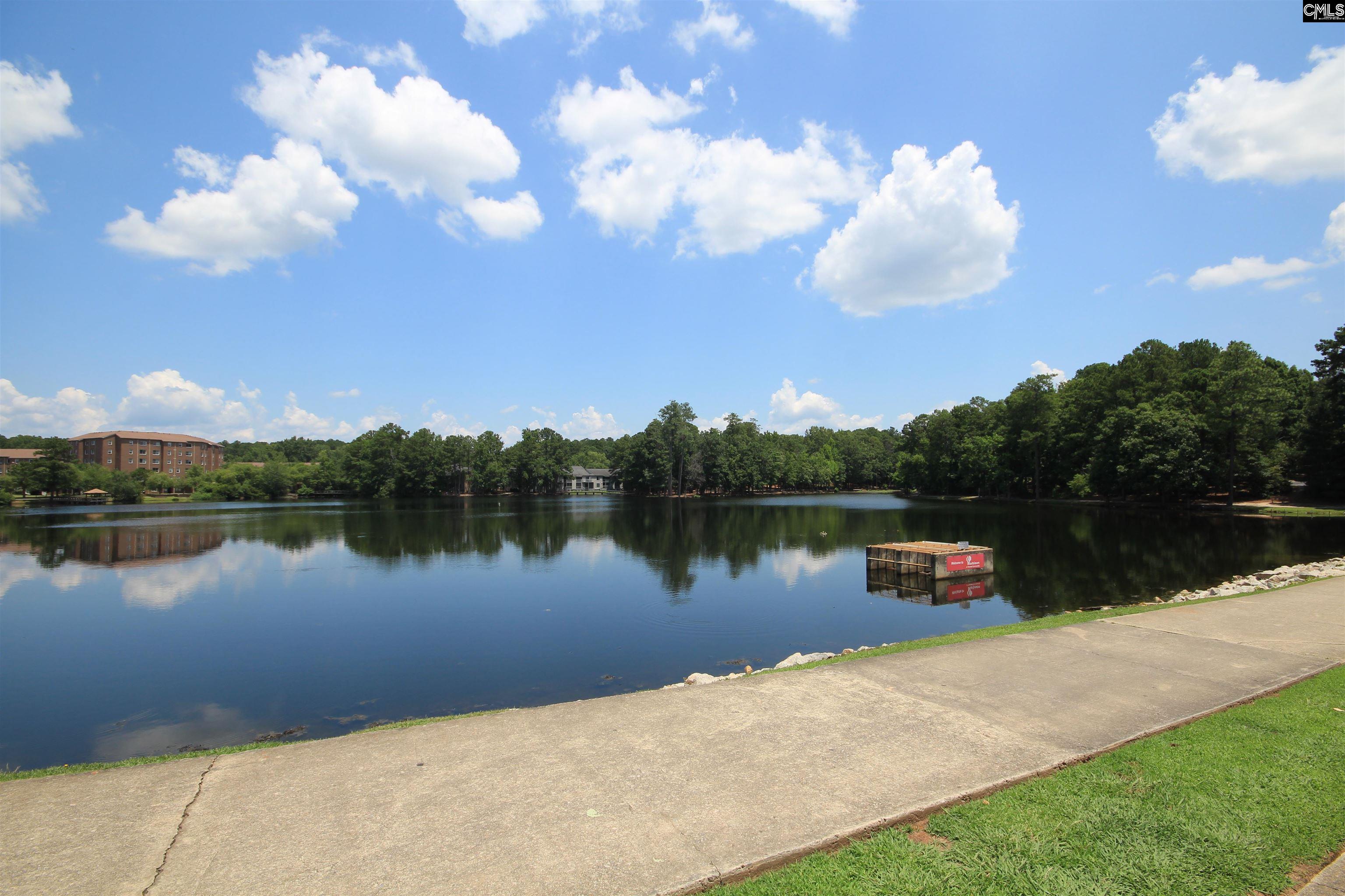 6 Crown Point Court, Irmo, South Carolina image 40