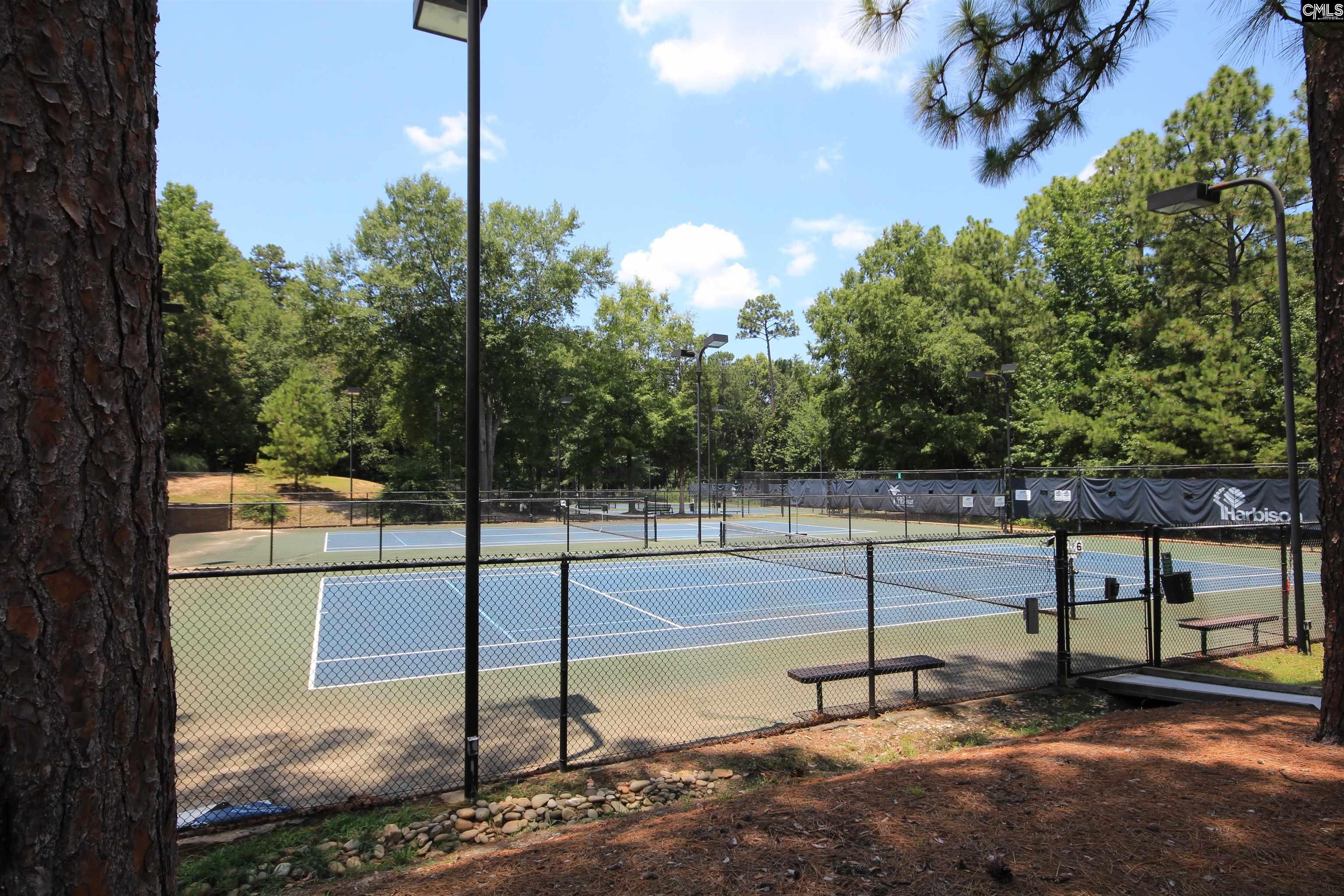 6 Crown Point Court, Irmo, South Carolina image 42