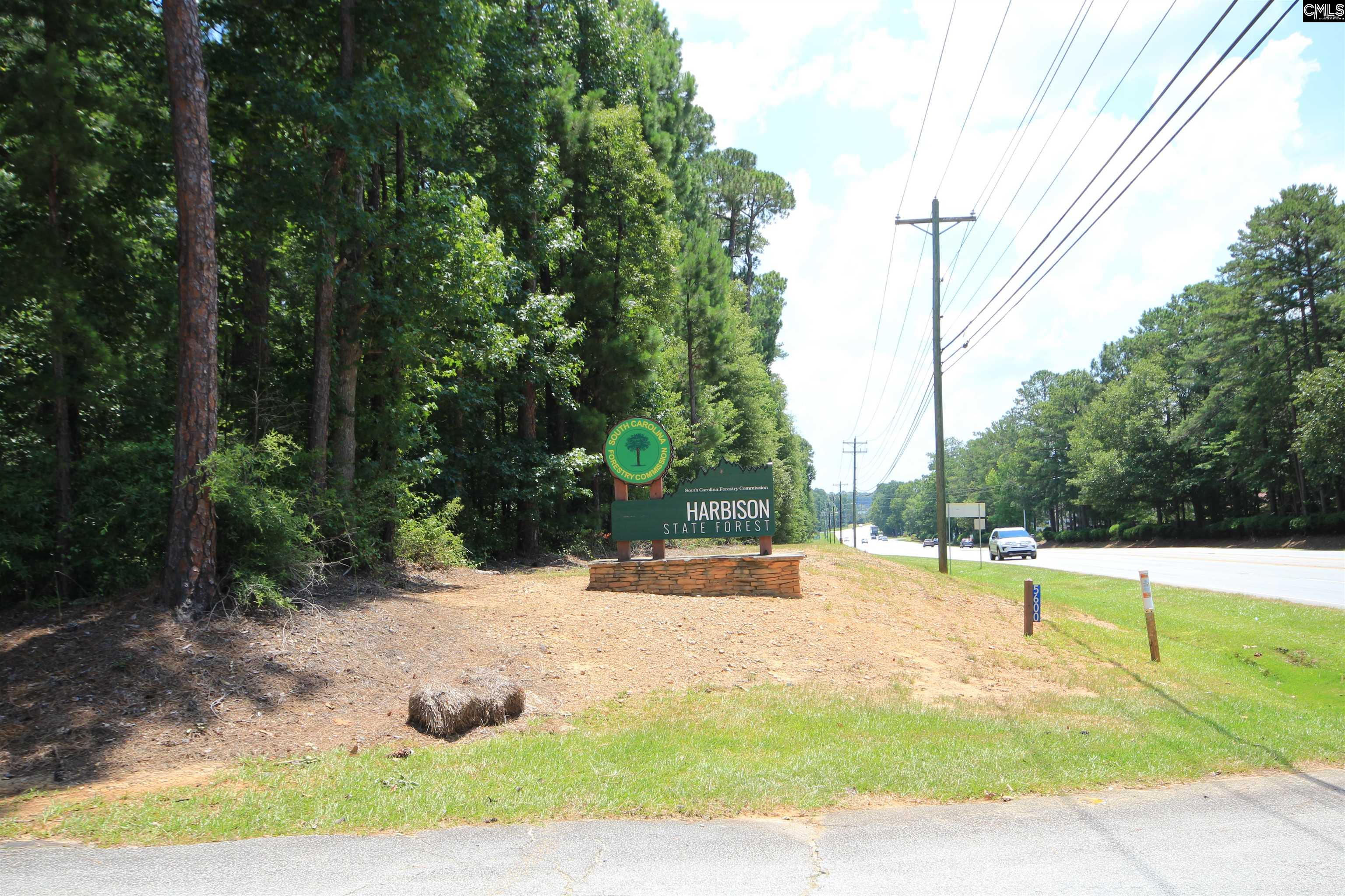 6 Crown Point Court, Irmo, South Carolina image 44