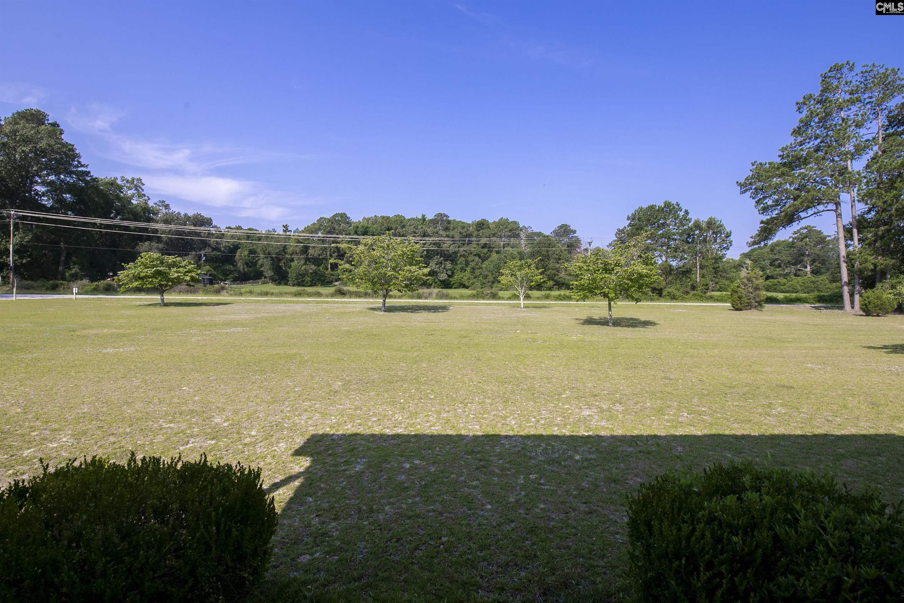 416 Pine Needle Circle, Gaston, South Carolina image 14