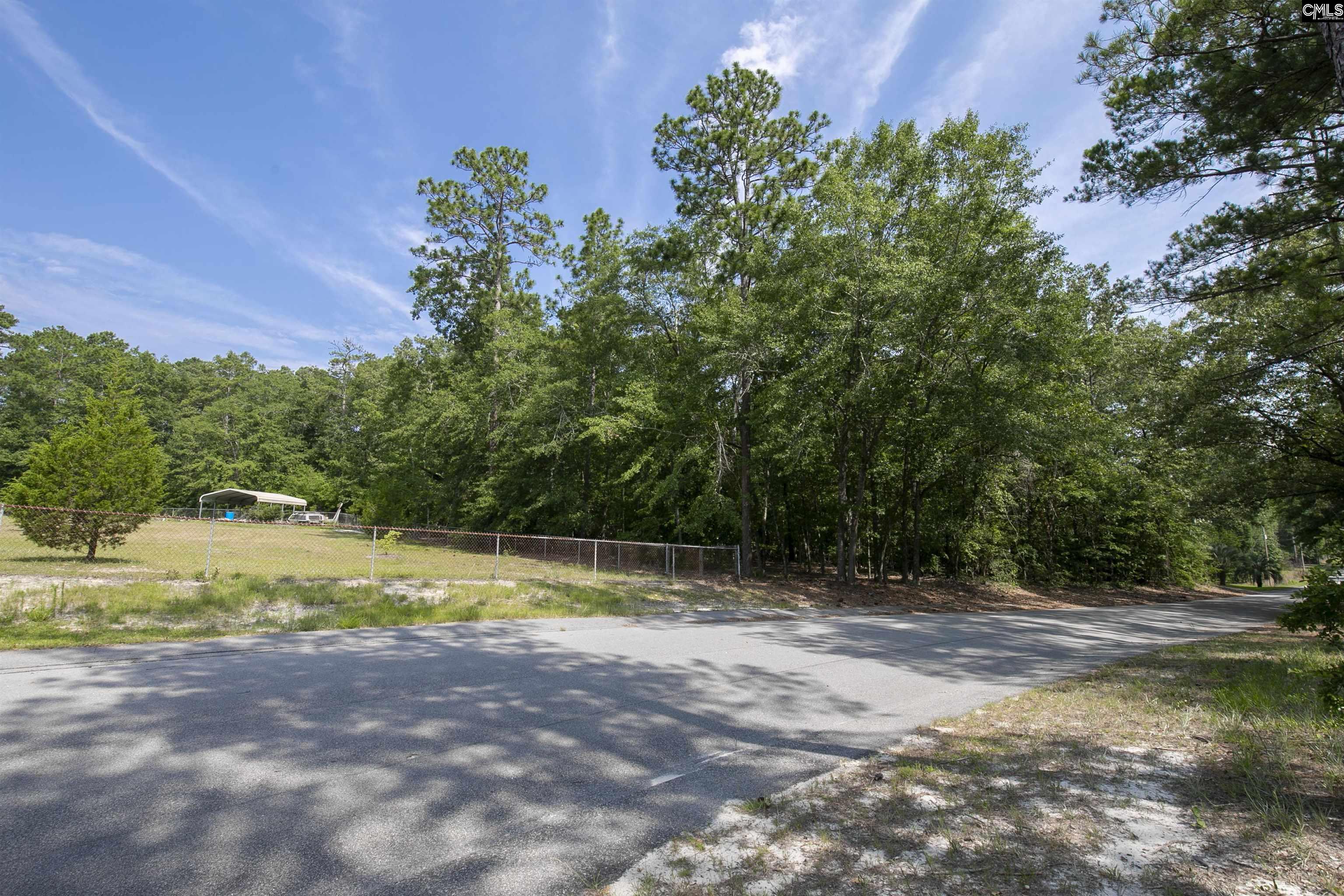 416 Pine Needle Circle Gaston, SC 29053-8364