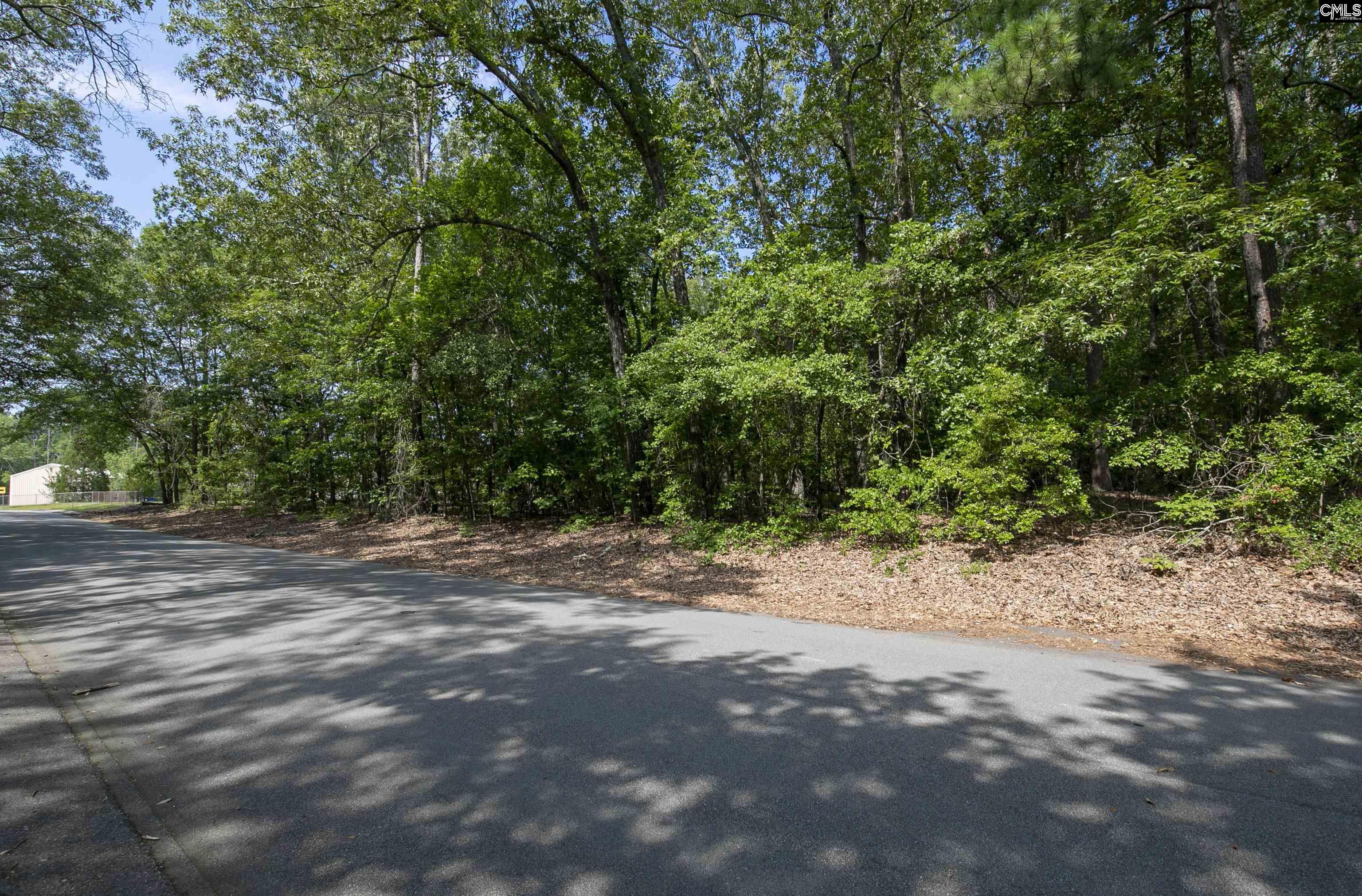 416 Pine Needle Circle Gaston, SC 29053-8364